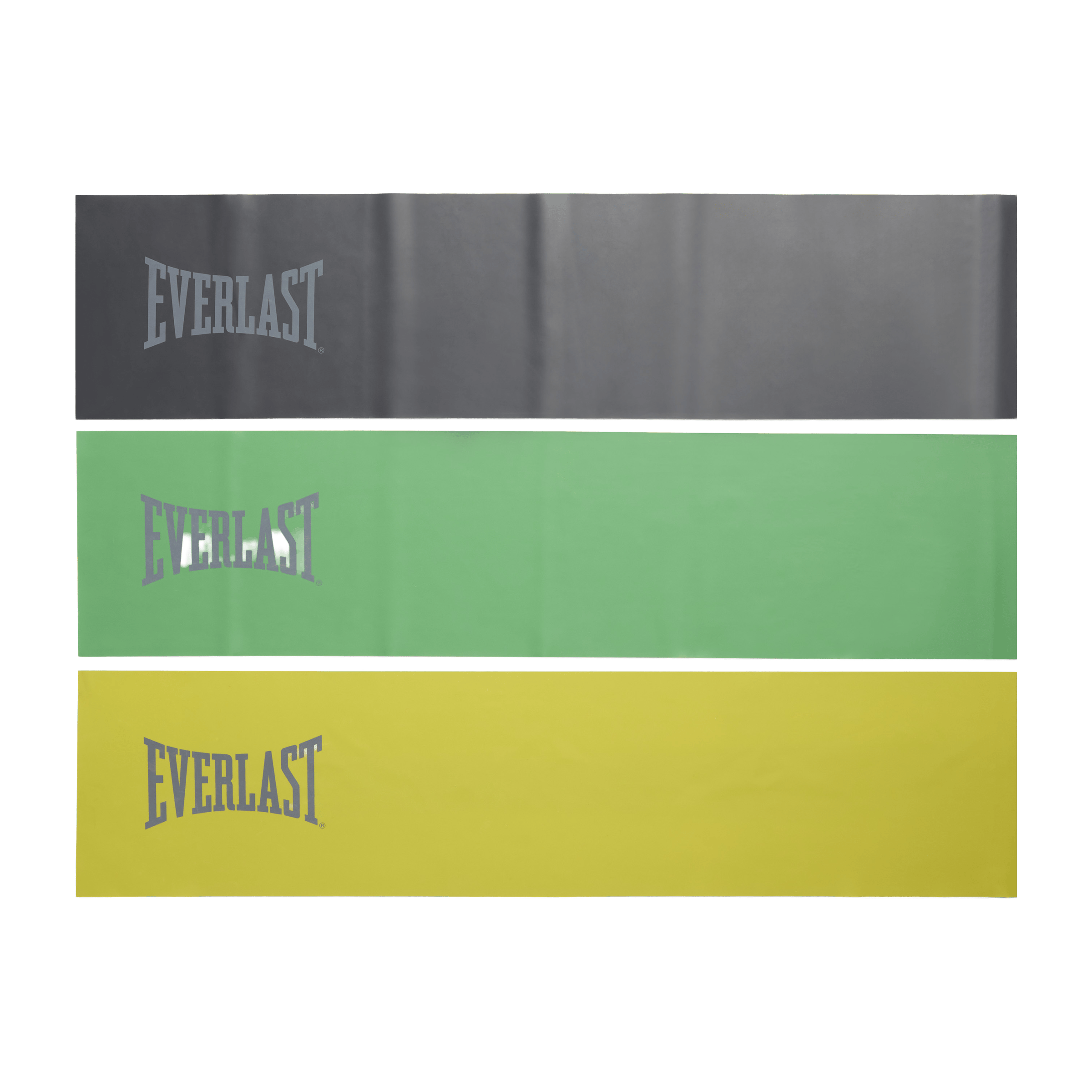 Everlast Latex Bands Set