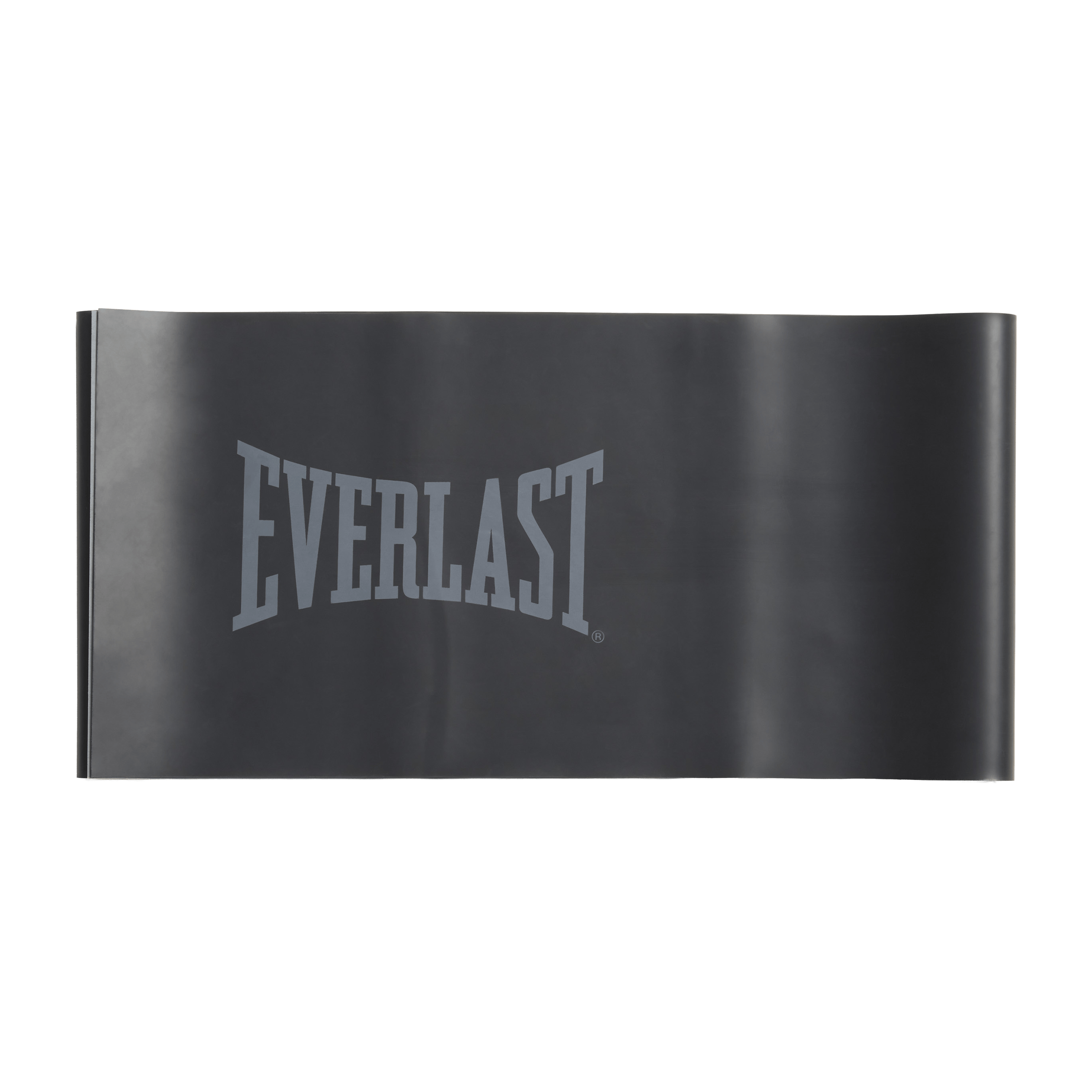Everlast Latex Bands Set
