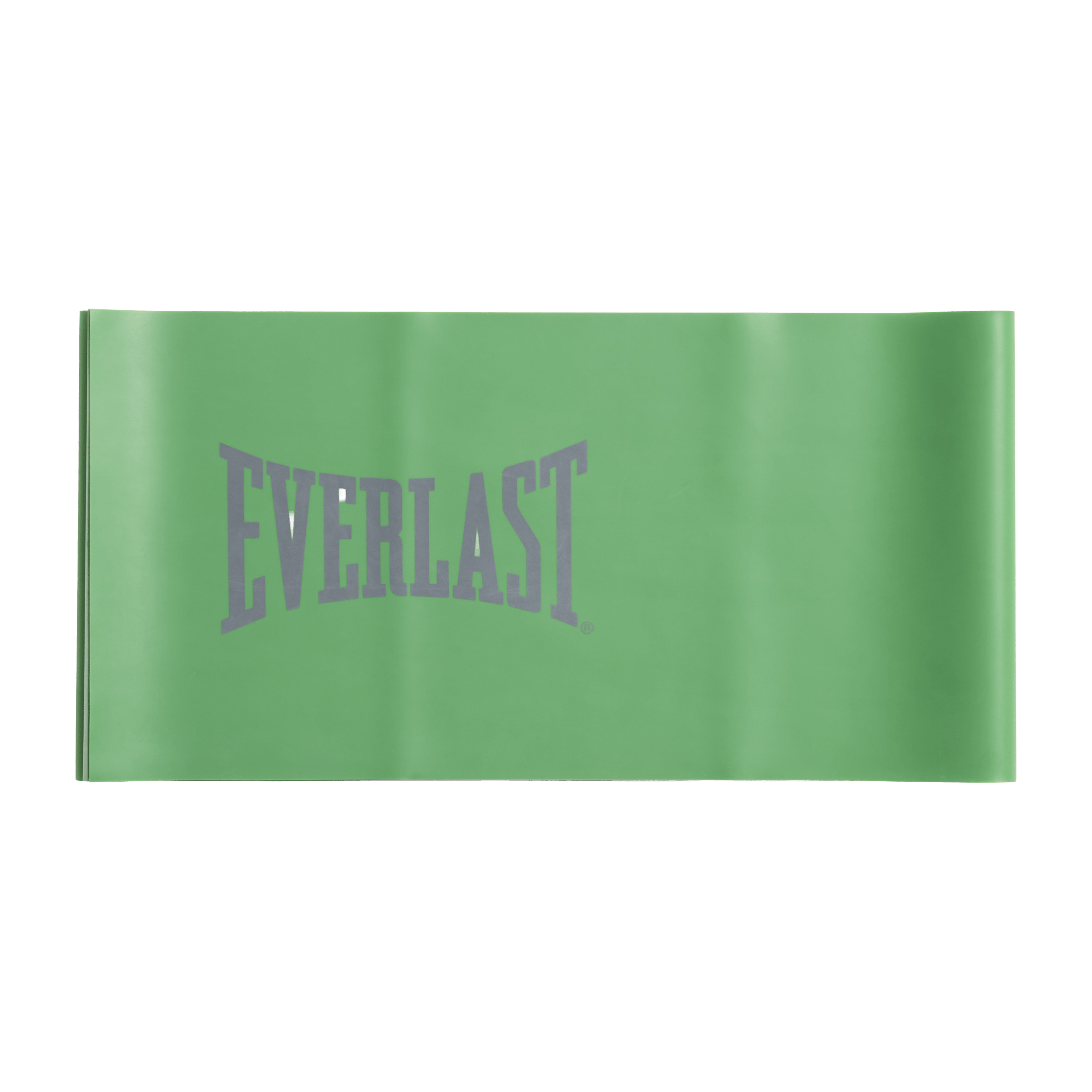 Everlast Latex Bands Set