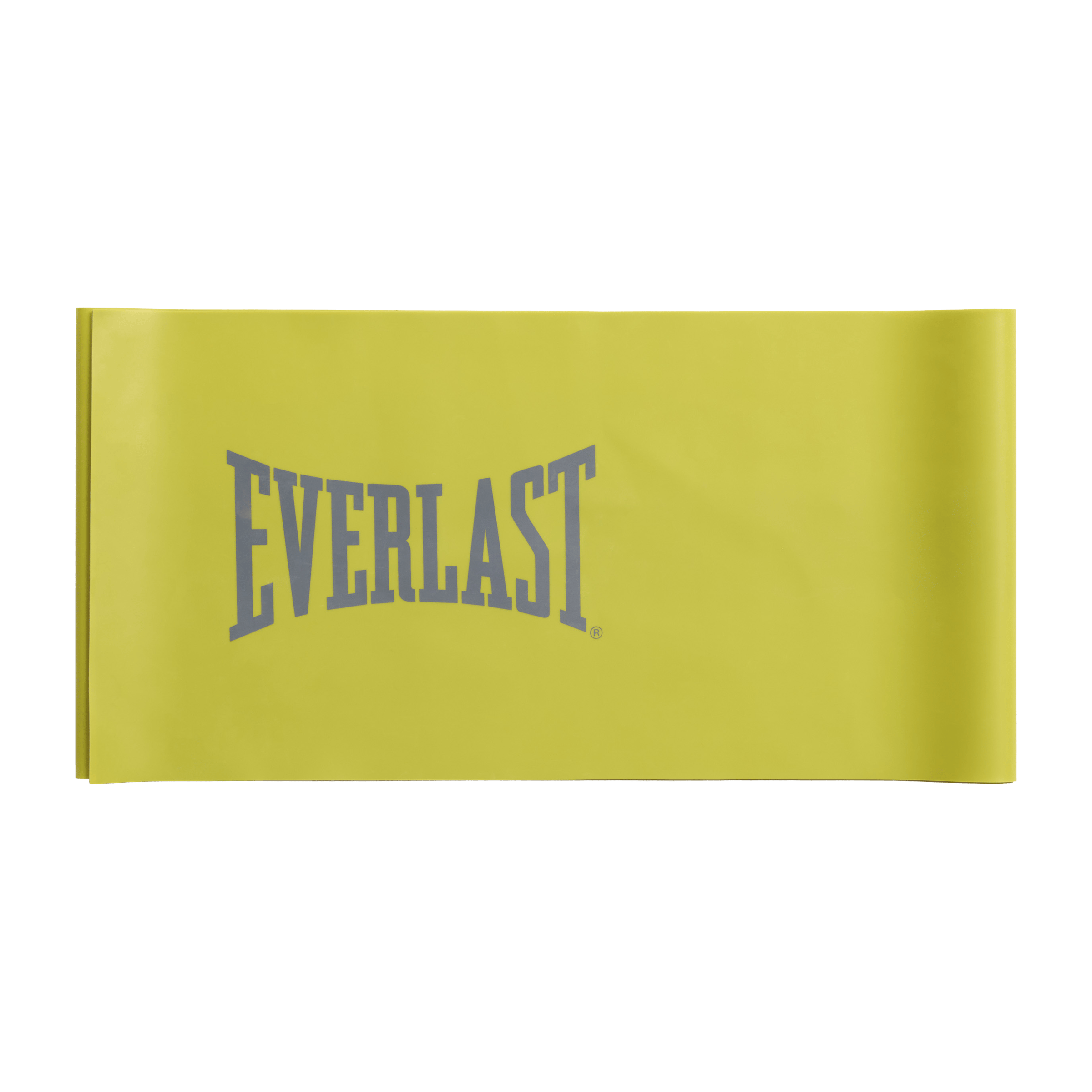 Everlast Latex Bands Set