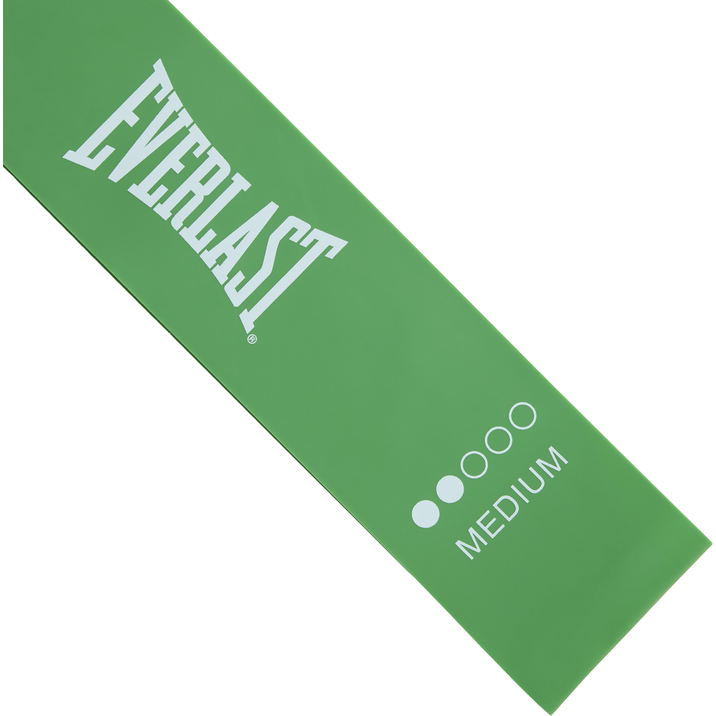Everlast 5x Mini Bands Set