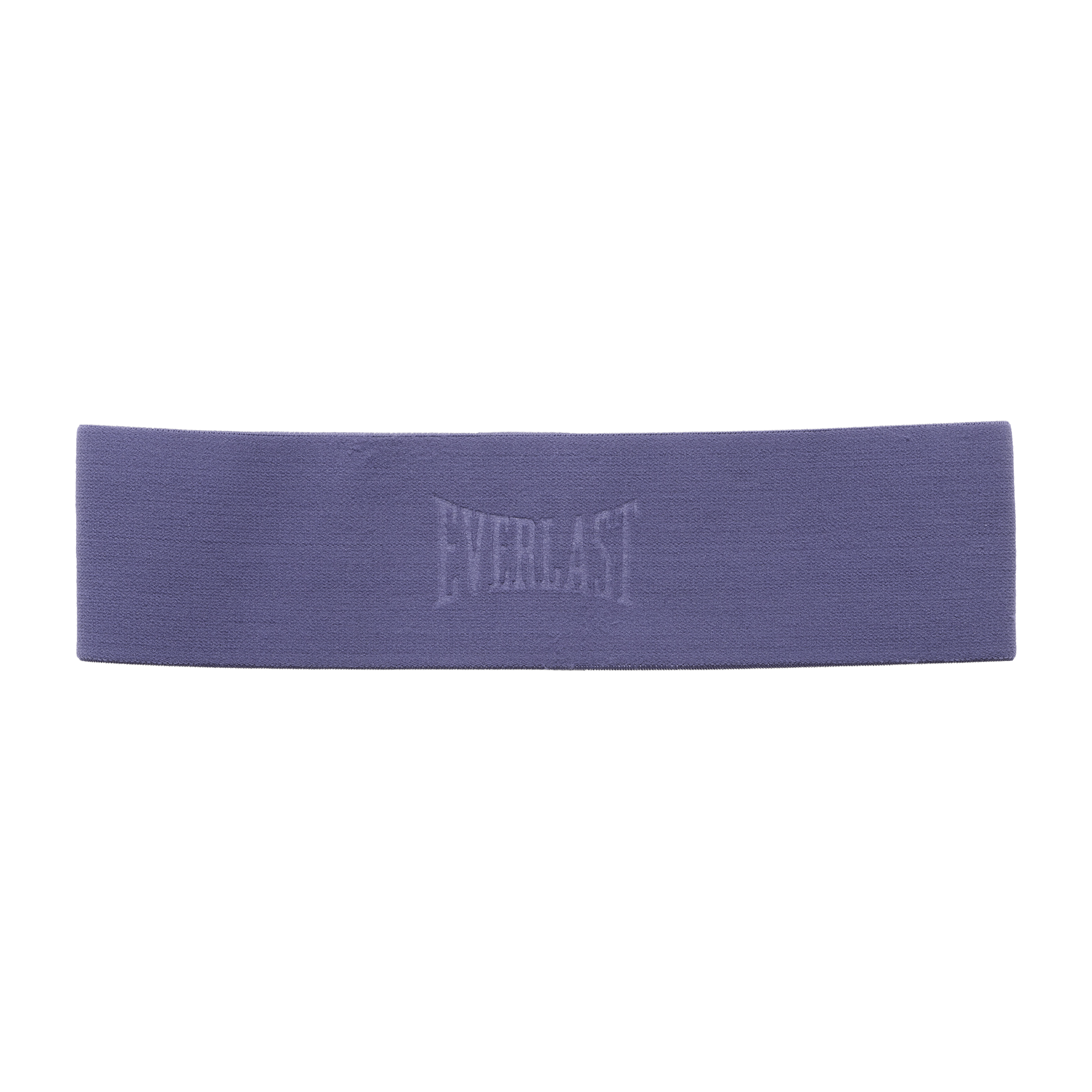Everlast Nylon Hip (Large) Bands