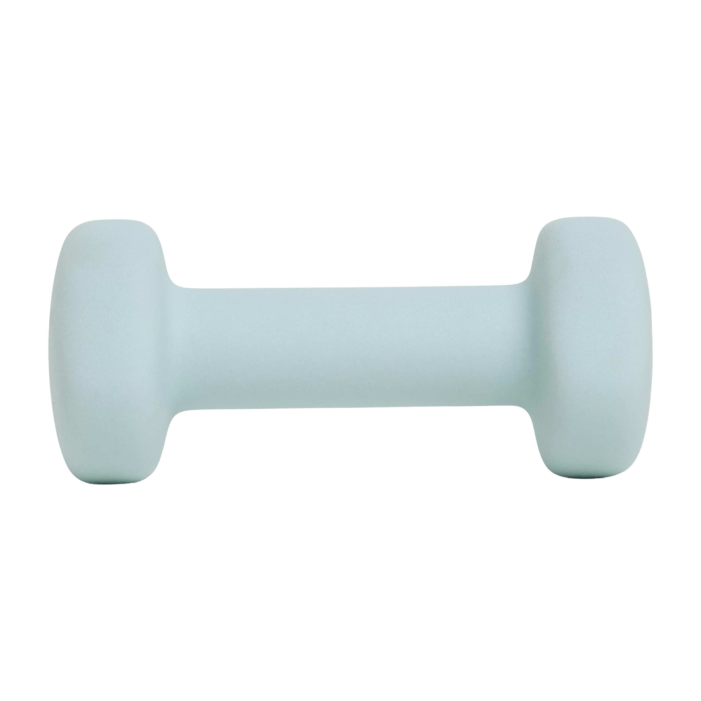 Everlast Neoprene Dipped (1kg) Dumbbell