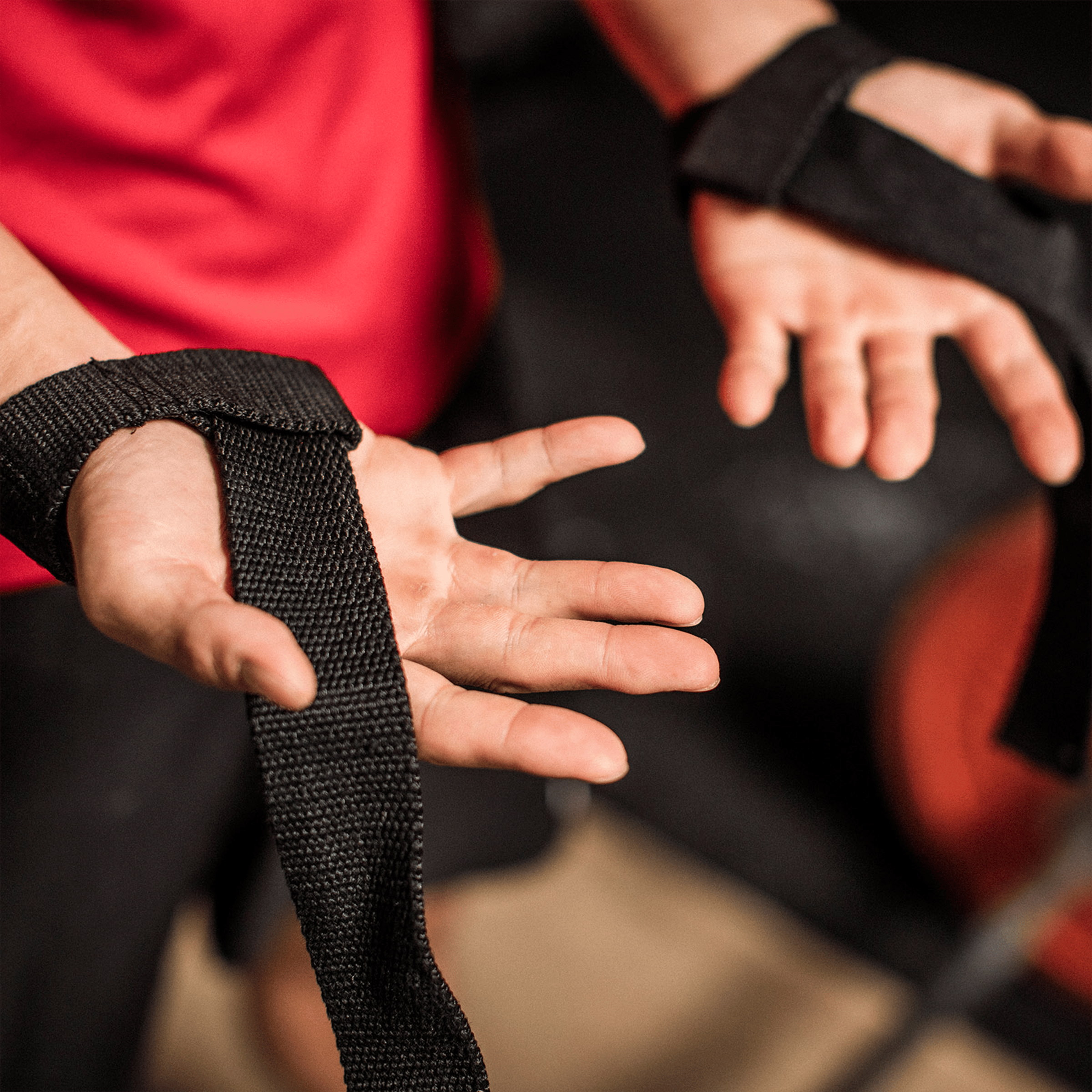 Harbinger Padded Cotton Lifting Straps