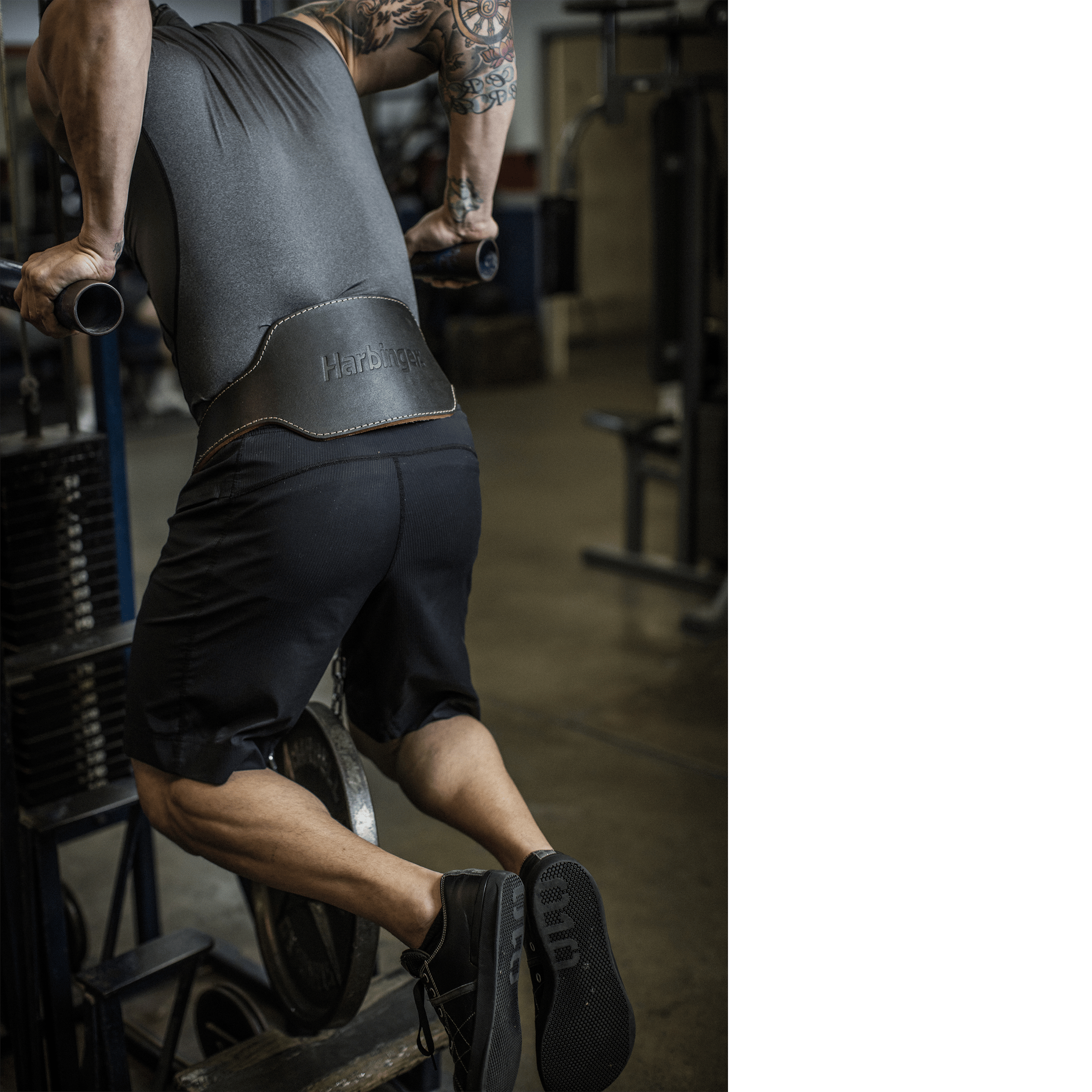 Harbinger Dip (Leather) Weight Lifting Belt