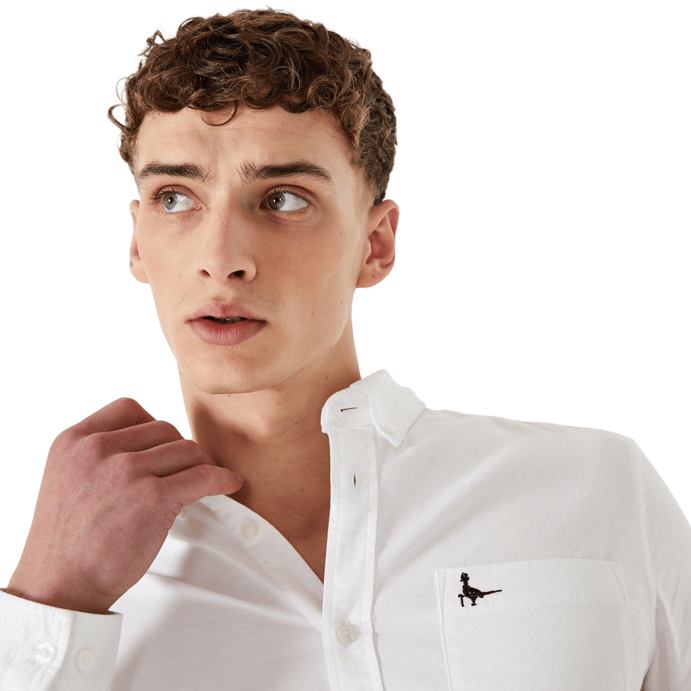 Mens Jack Wills Wadsworth Oxford Shirt
