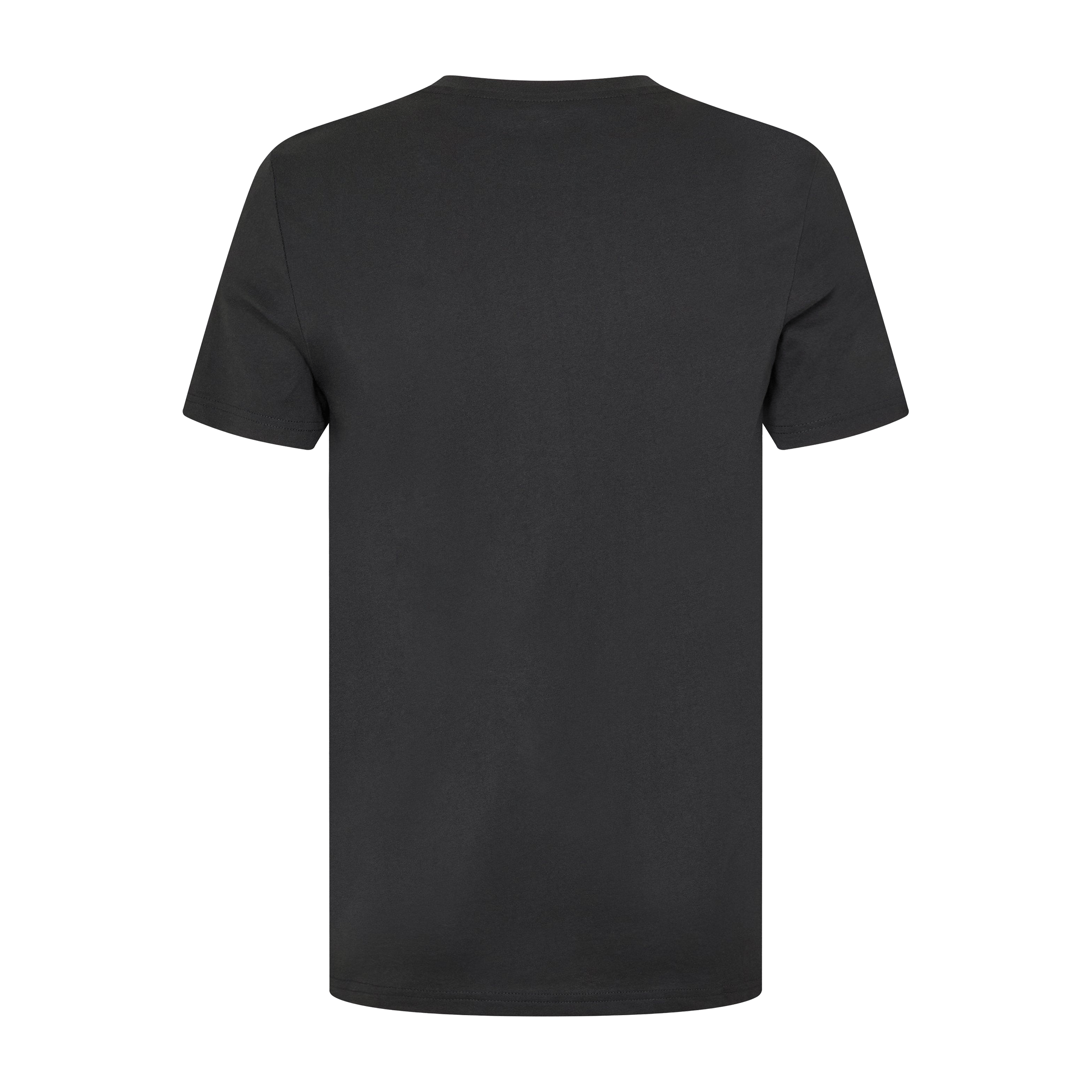 Mens Jack Wills Sandleford Tee