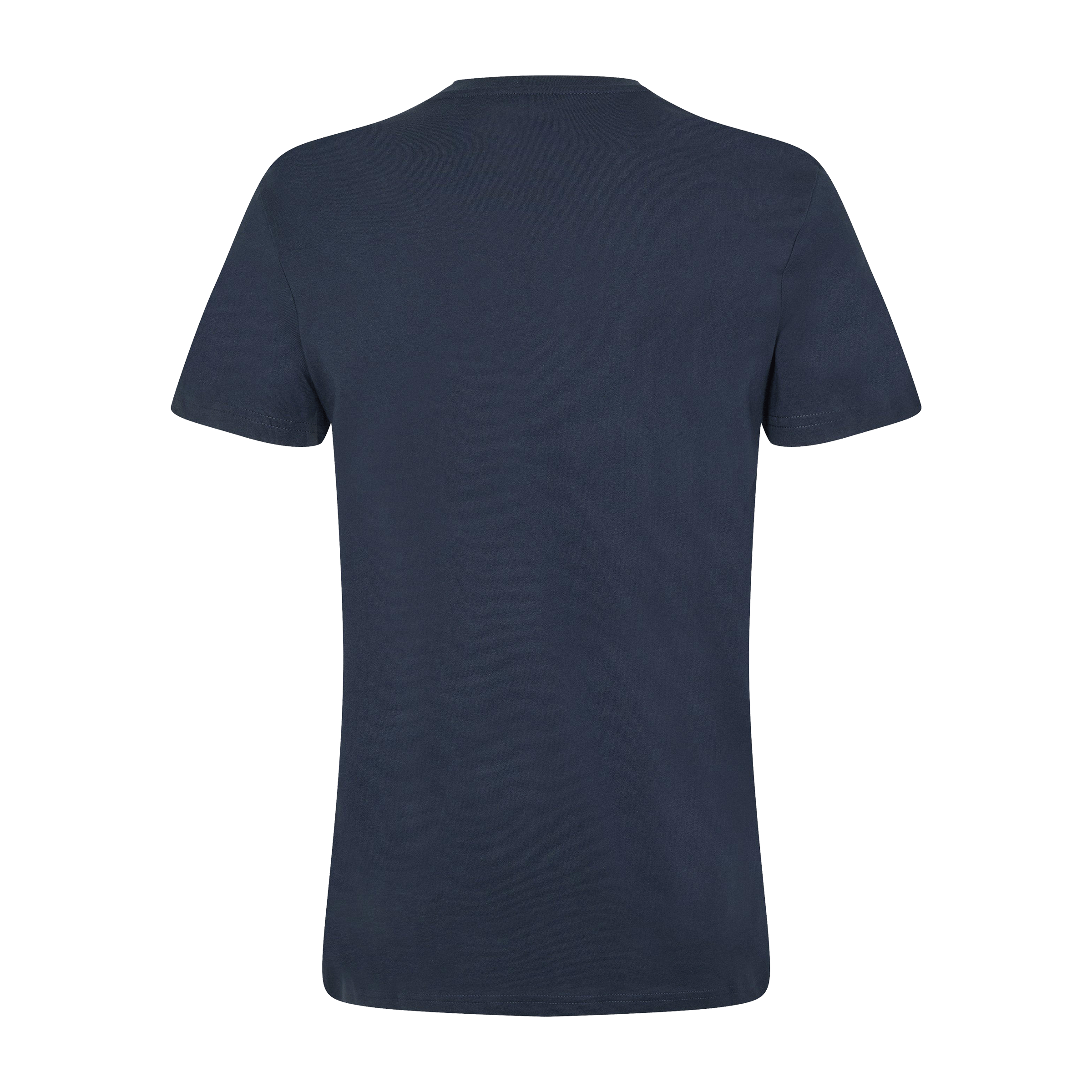 Mens Jack Wills Sandleford Tee