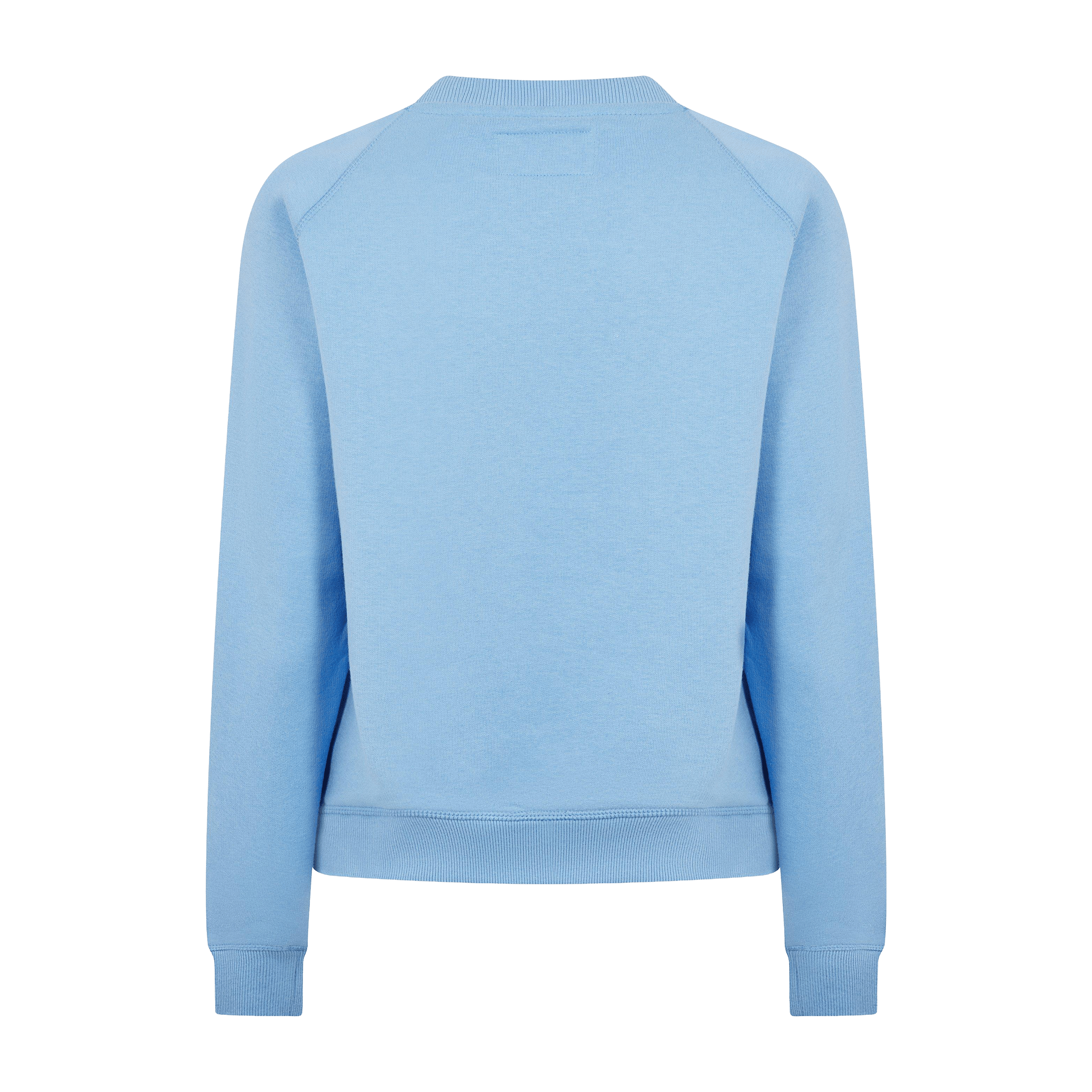 Womens Jack Wills Astbury Raglan Crew Sweatshirt