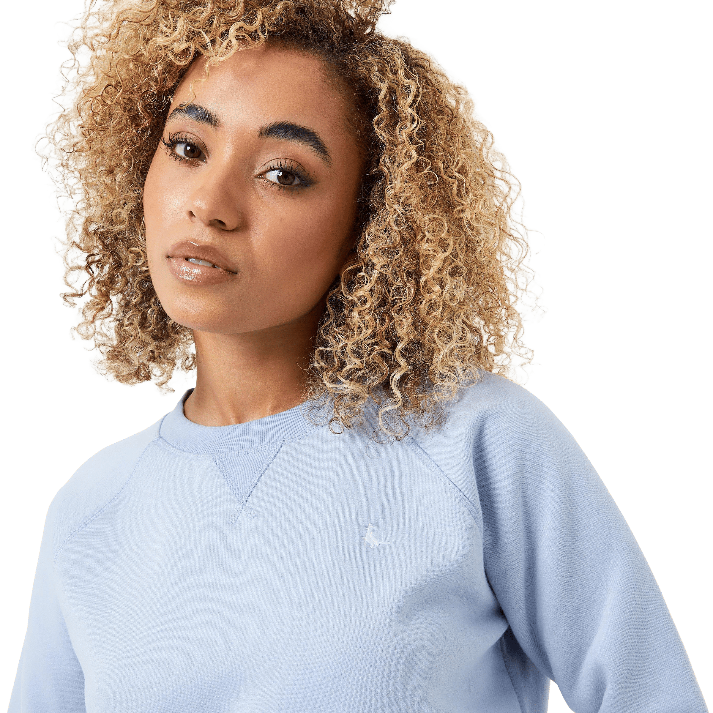 Womens Jack Wills Astbury Raglan Crew Sweatshirt