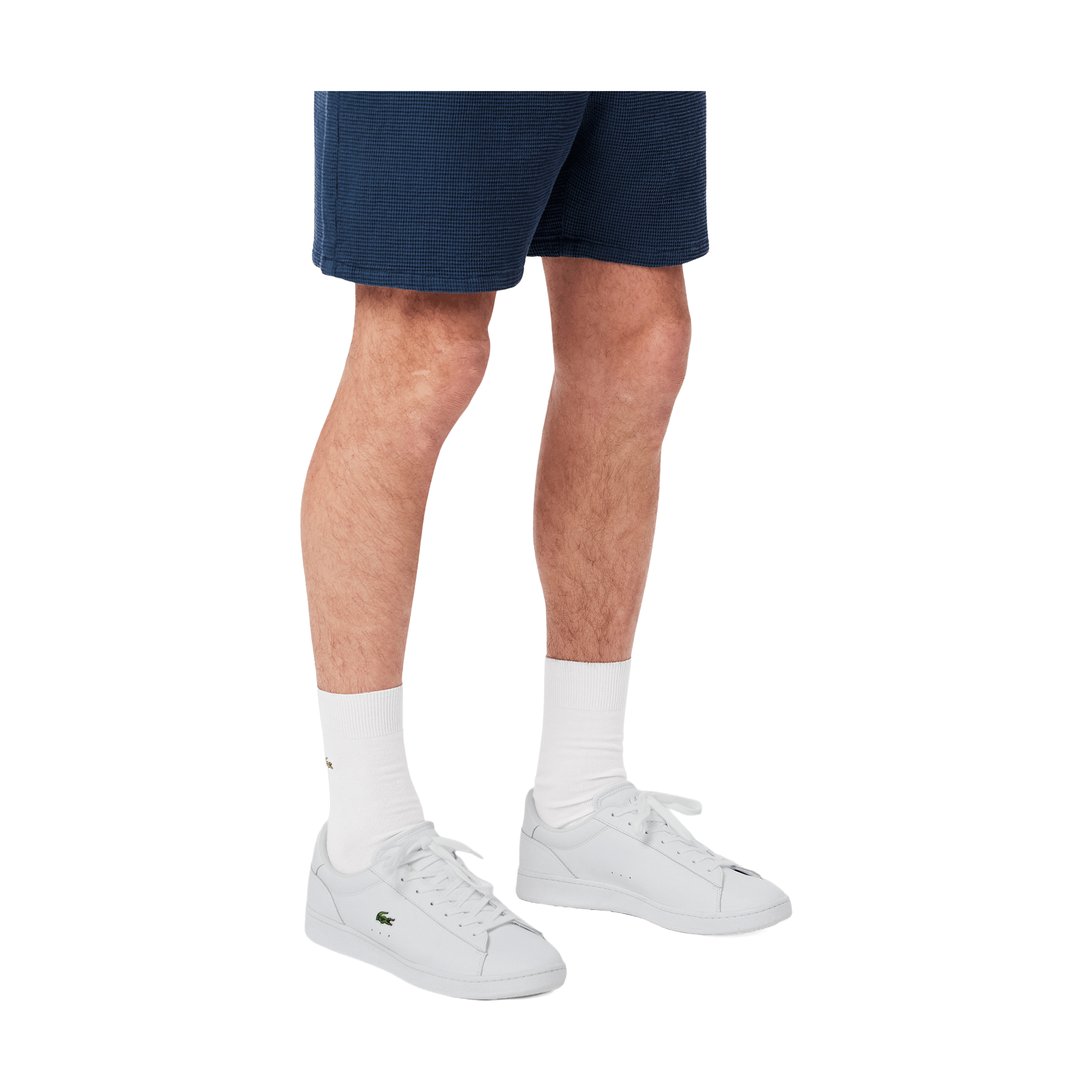 Mens Lacoste Carnaby Set Shoes