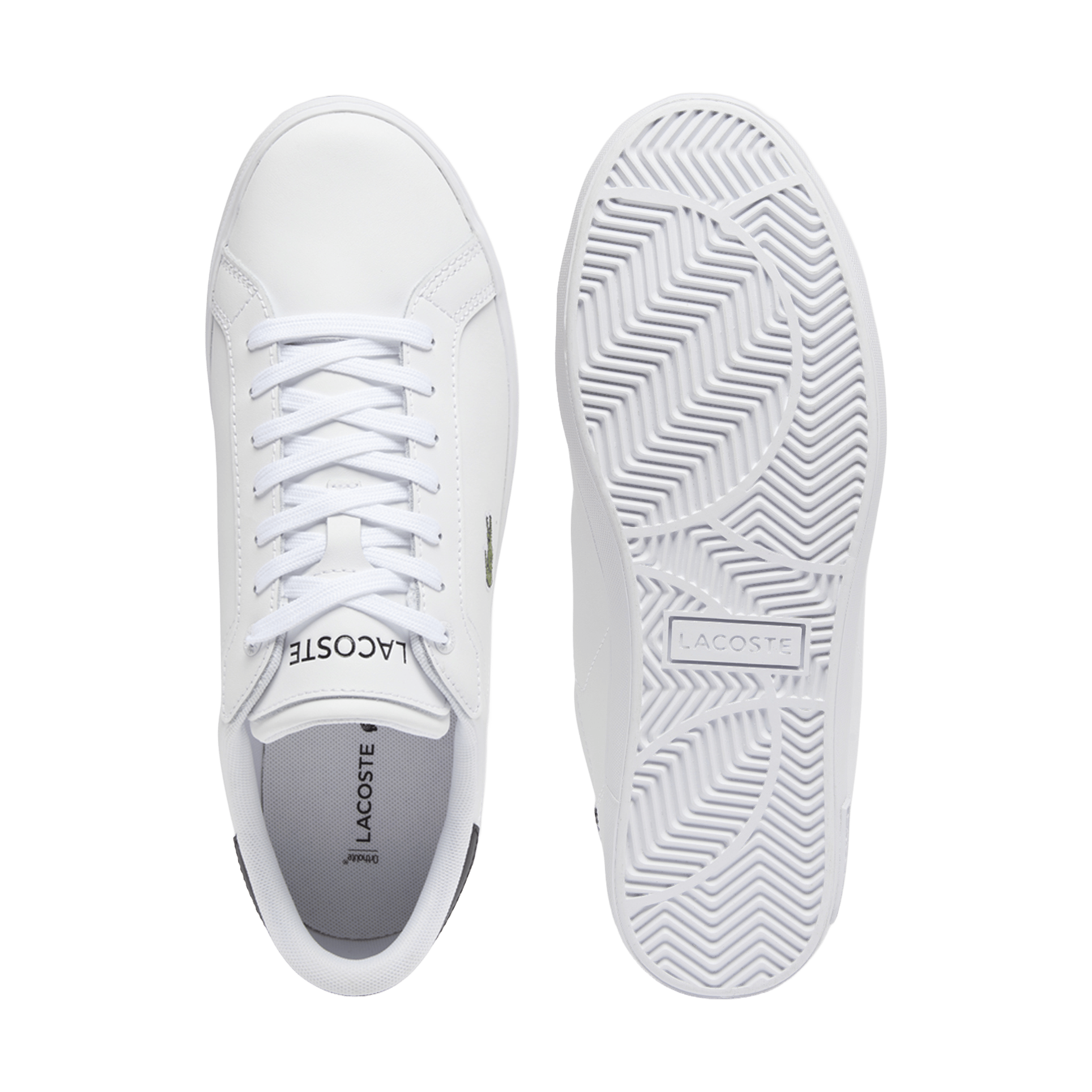 Mens Lacoste Powercourt Leather Shoes