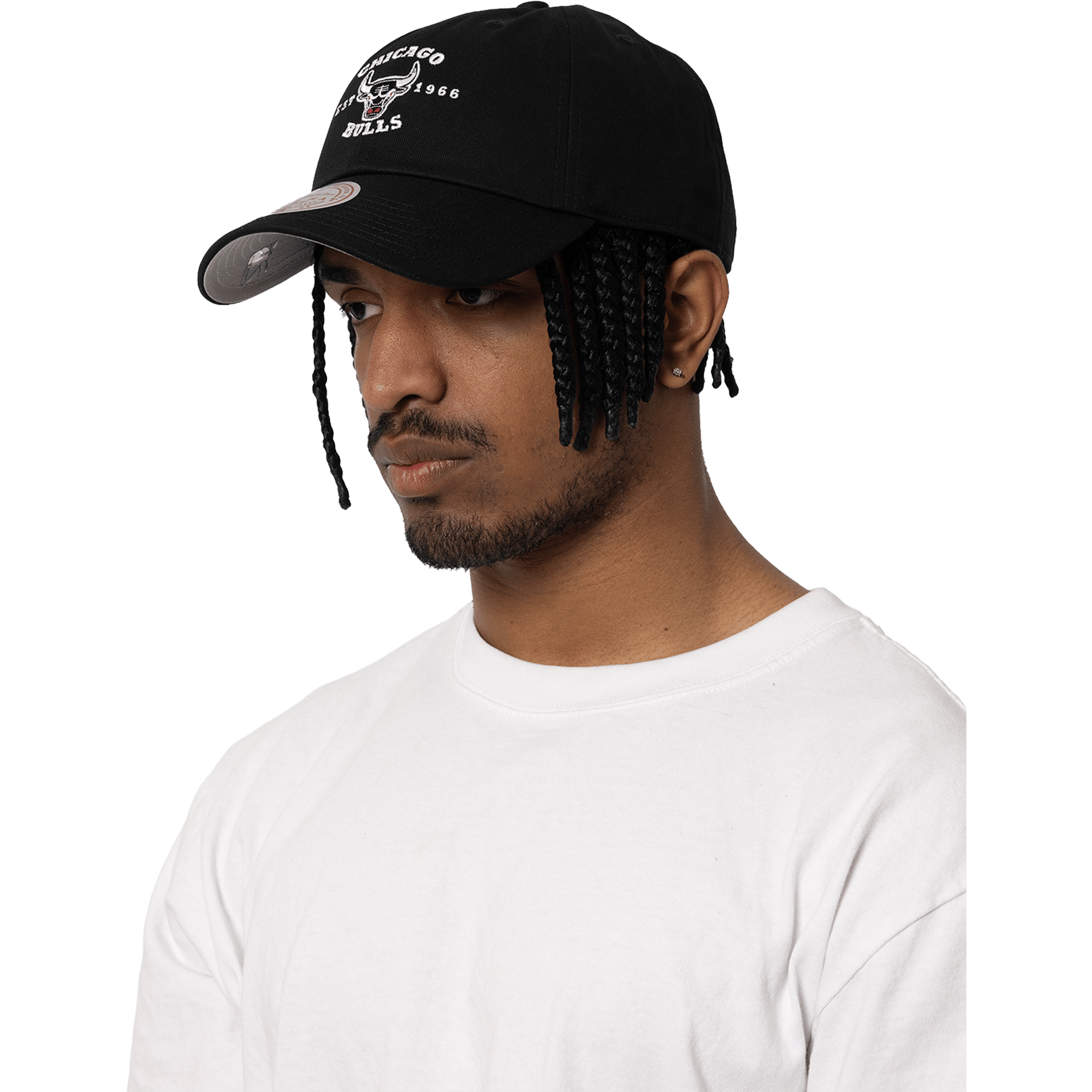 Mitchell & Ness Chicago Bulls Established Dad Hat
