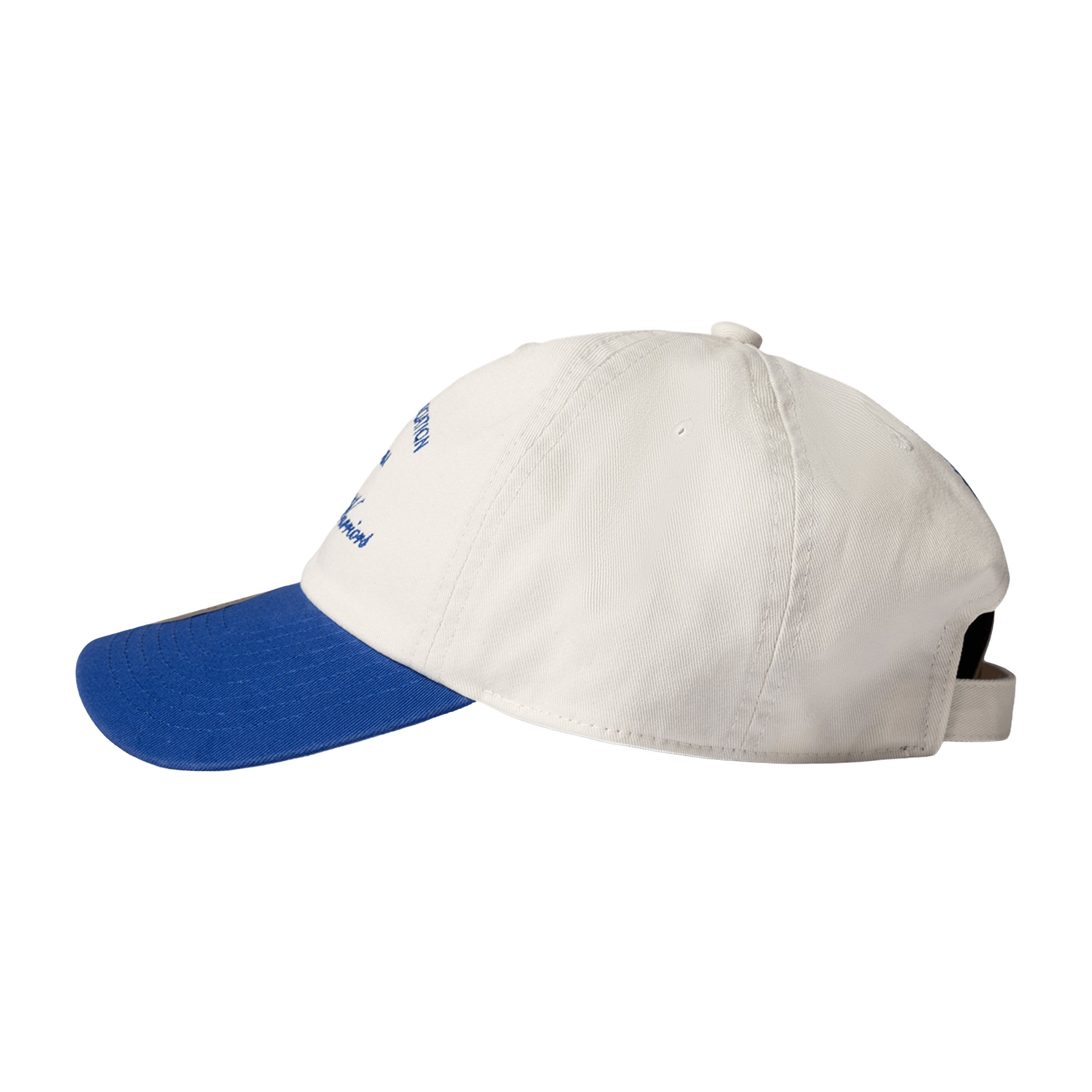 Mitchell & Ness Basketball Associate Warriors Dad Cap