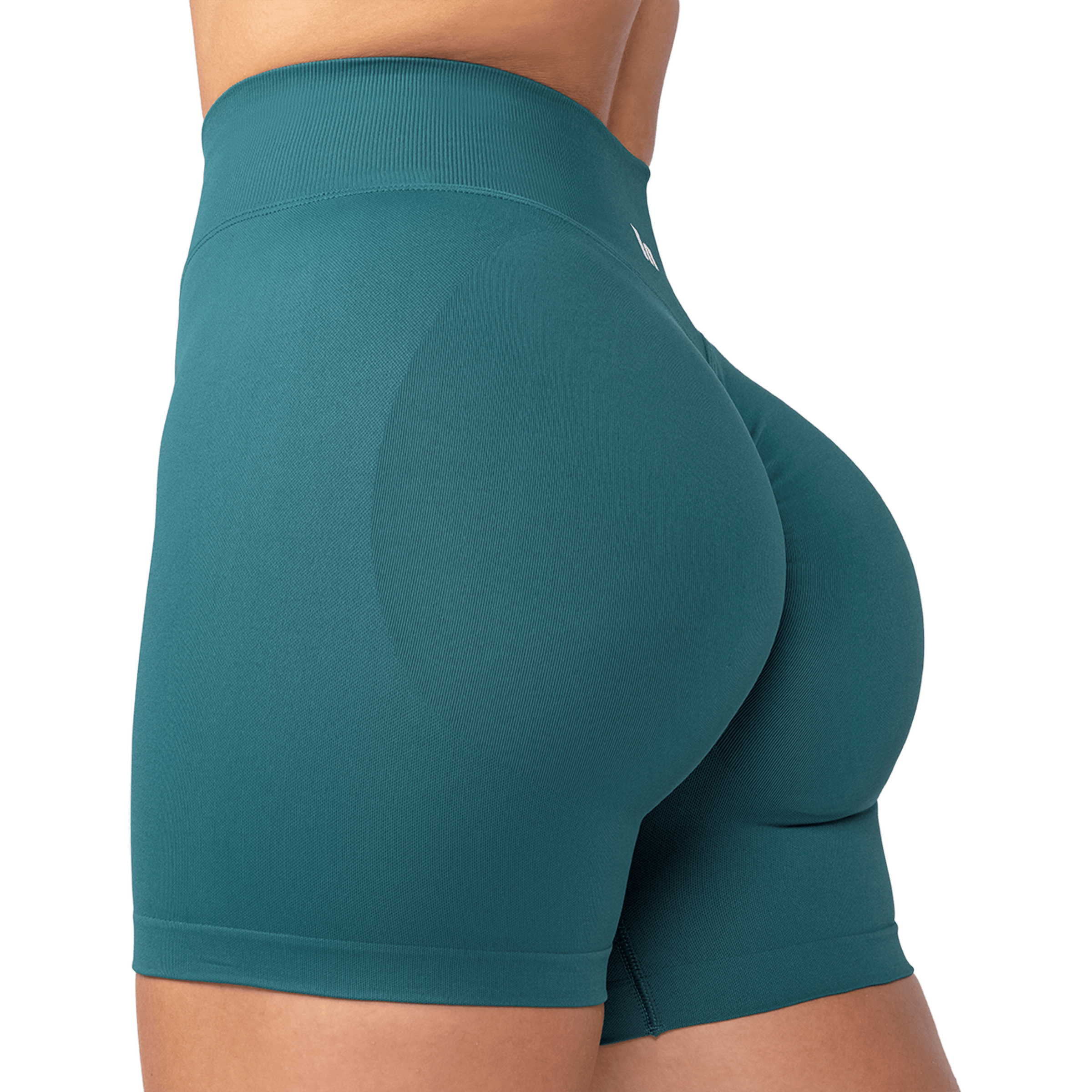 Womens Muscle Nation Sculpt Seamless Midway (5") Shorts