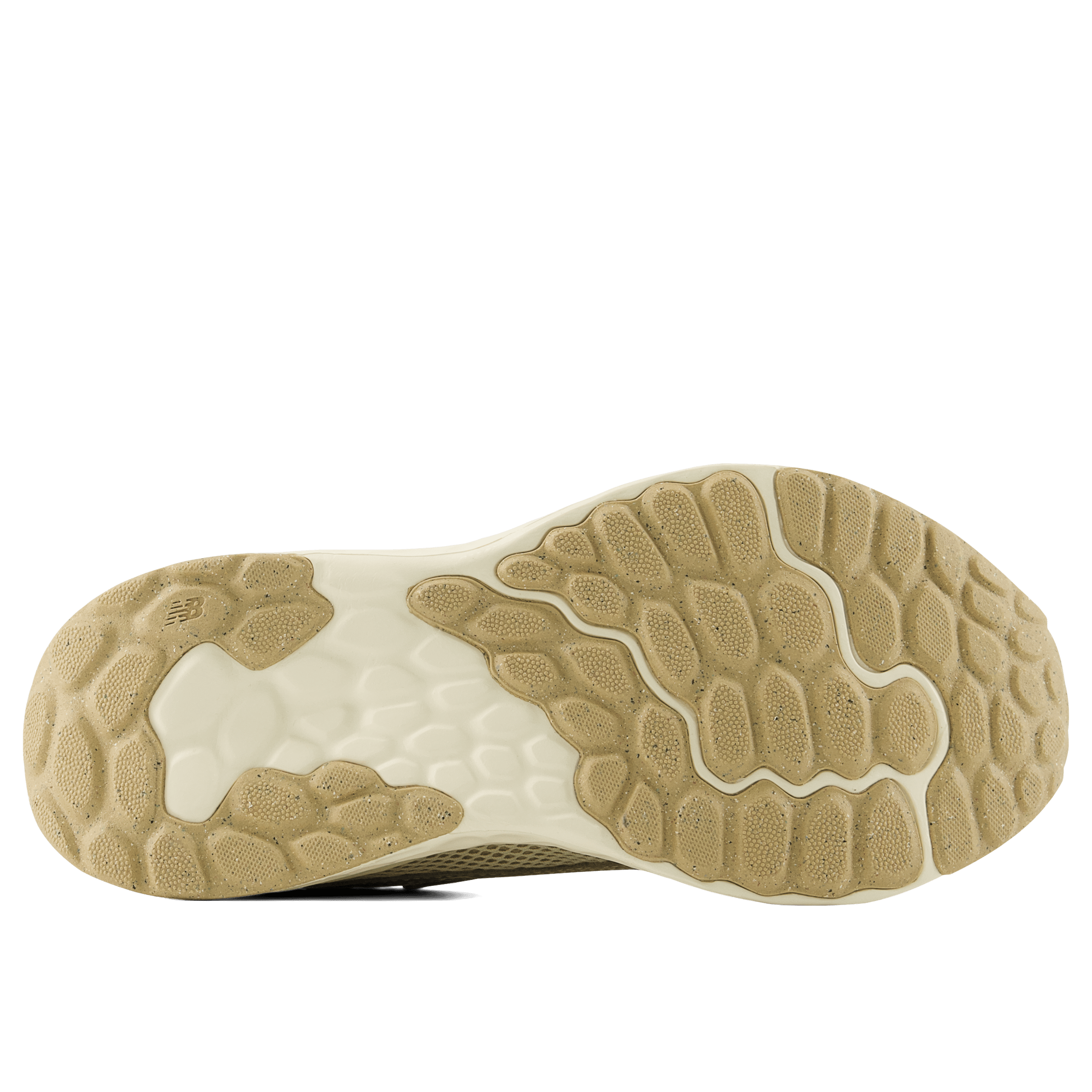 Womens New Balance Fresh Foam Arishi v4 Tiralux