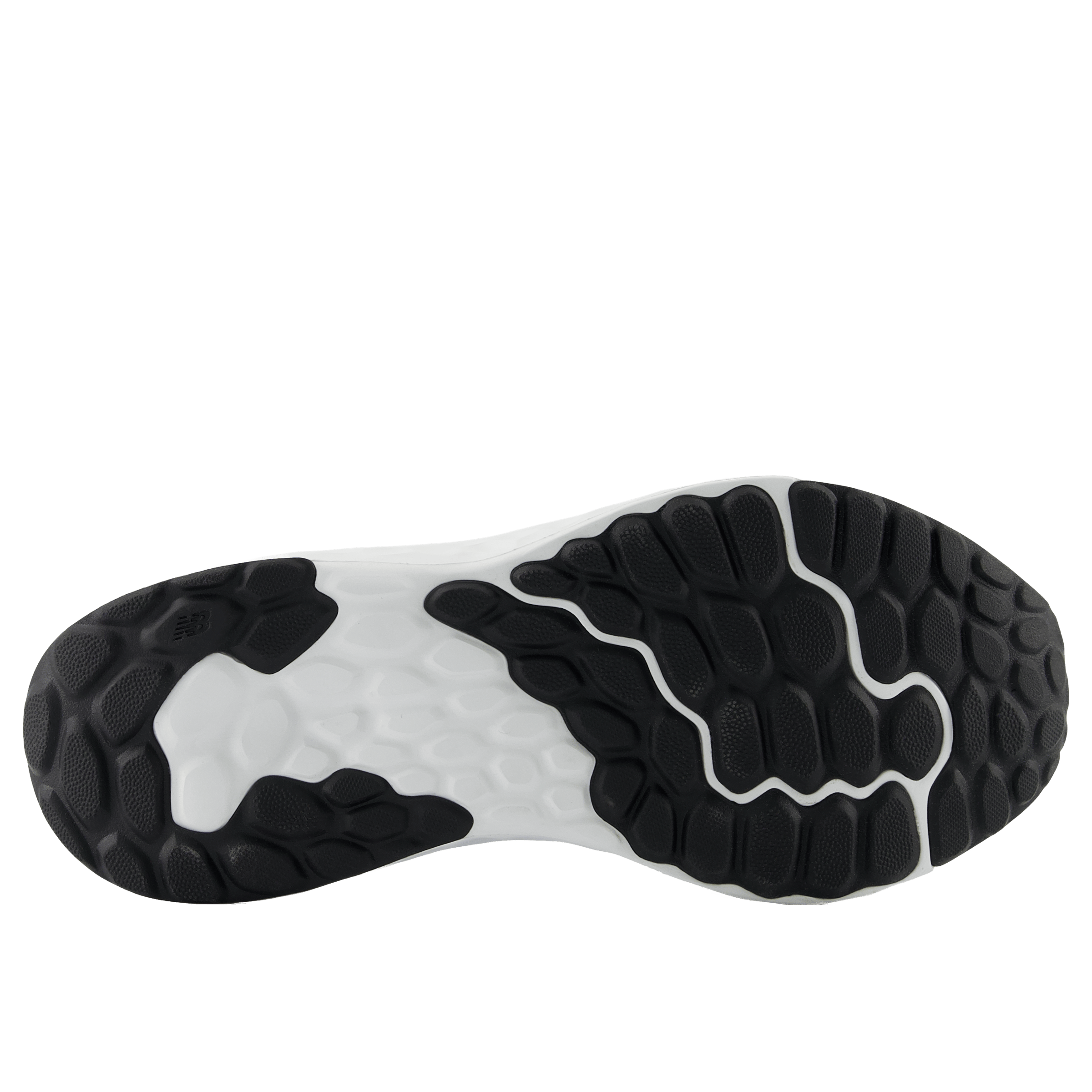 Womens New Balance Fresh Foam Arishi v4 Tiralux