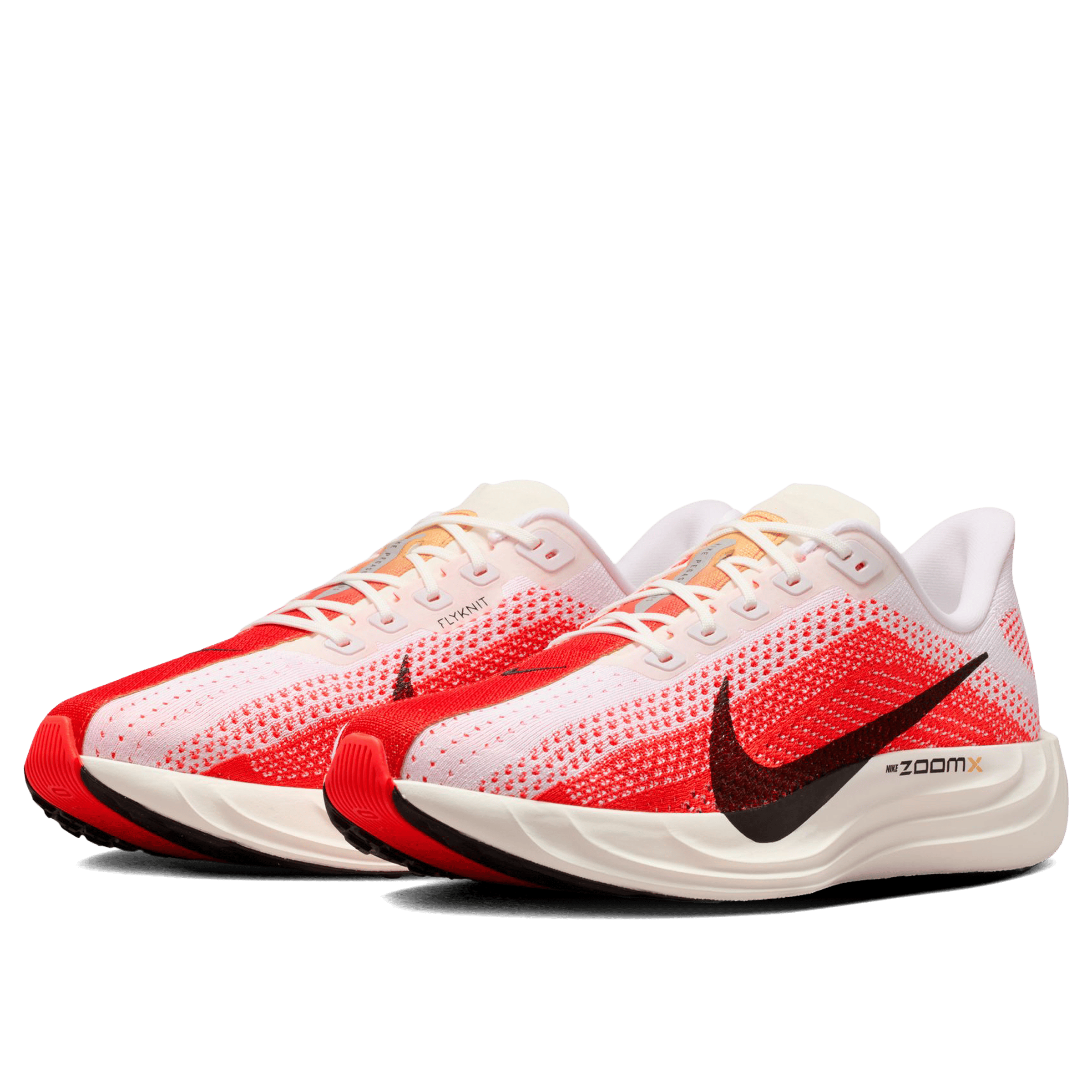 Mens Nike Pegasus Plus Running Shoes