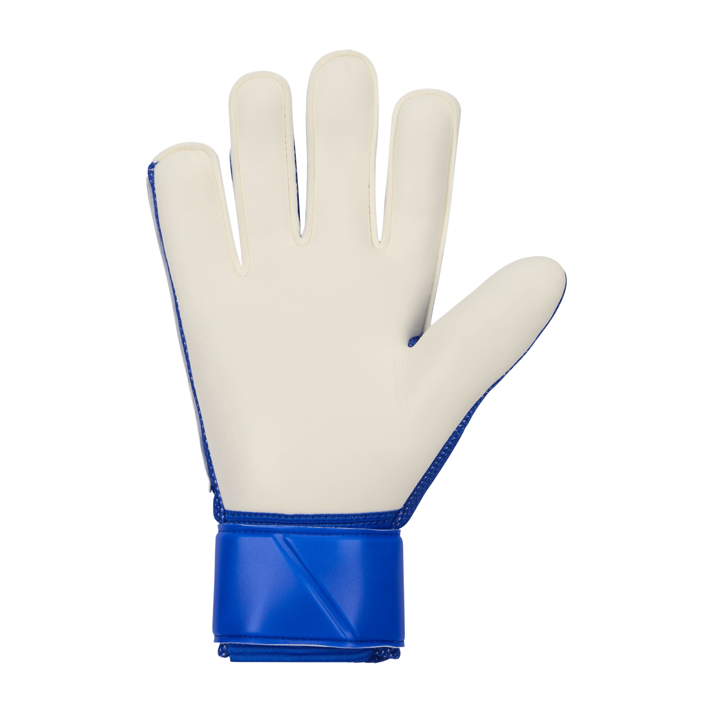 Nike Match Goalkeeper Gloves
