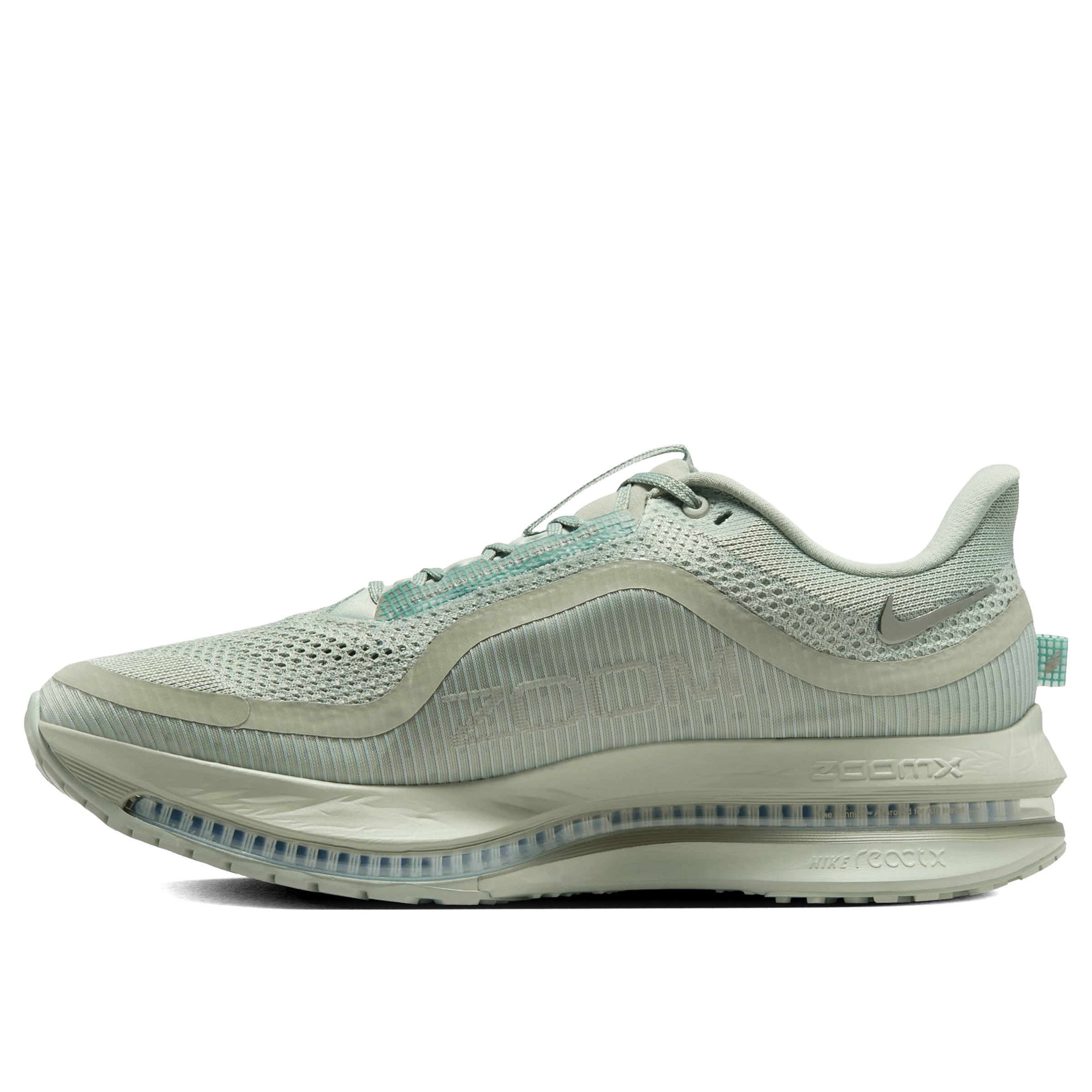 Unisex Nike Pegasus Premium Running Shoes