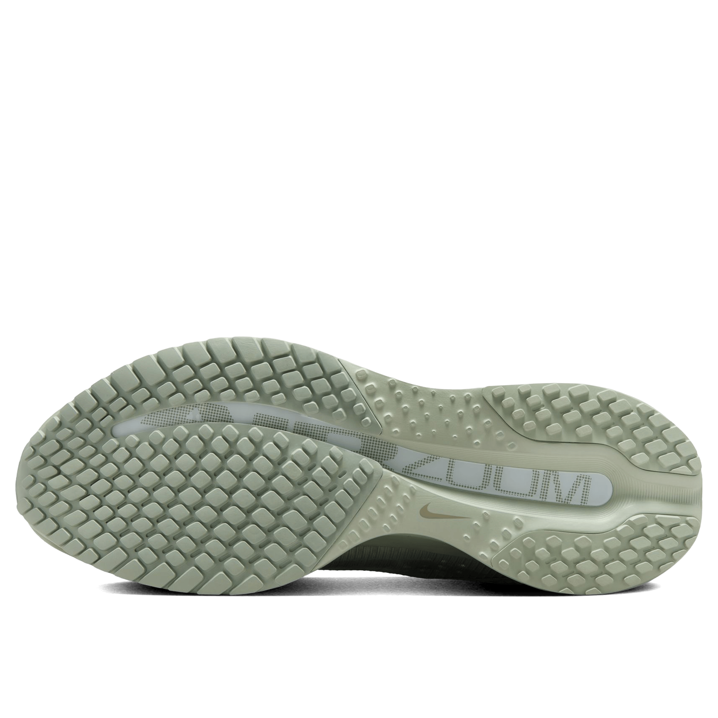 Unisex Nike Pegasus Premium Running Shoes