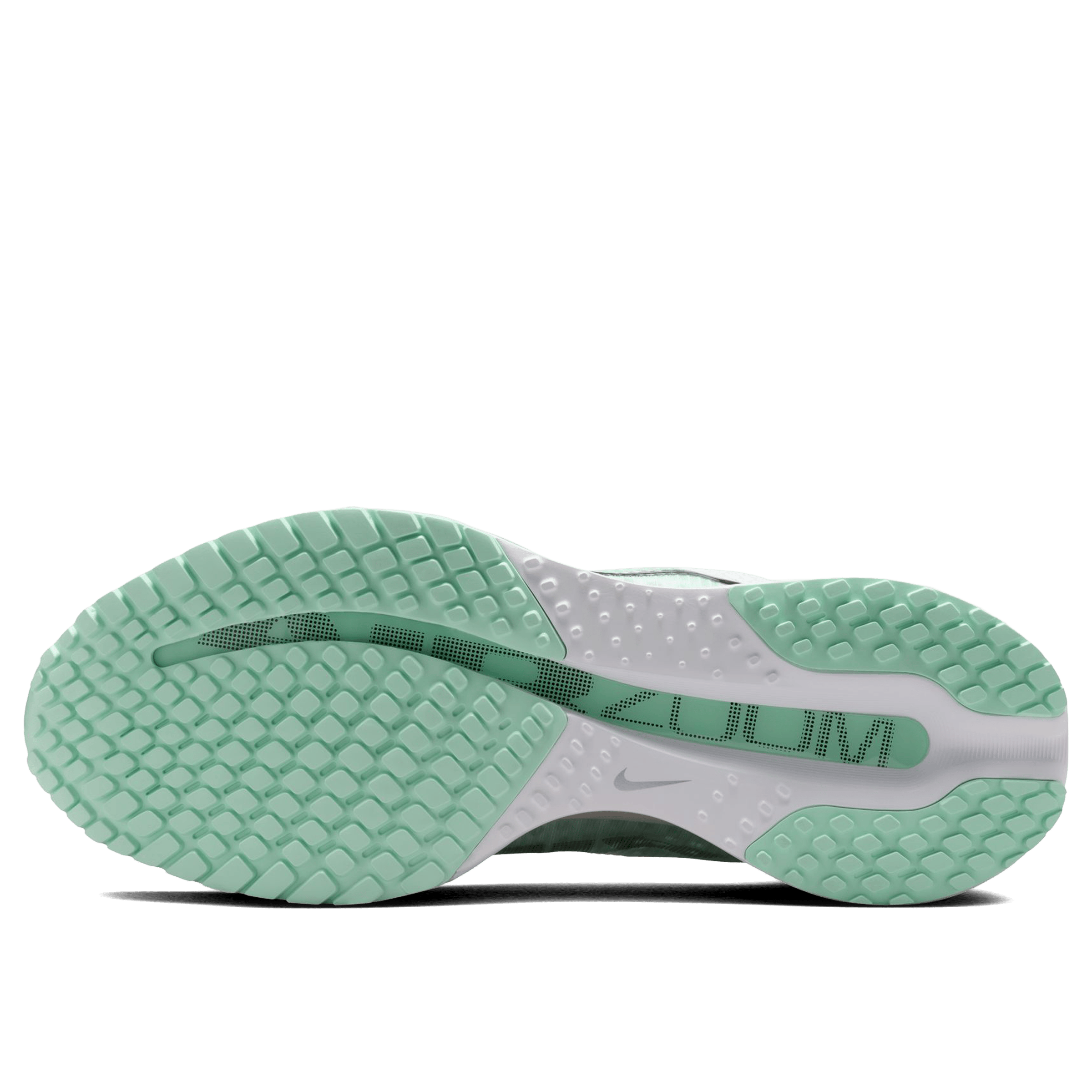 Womens Nike Pegasus Premium Running Shoes