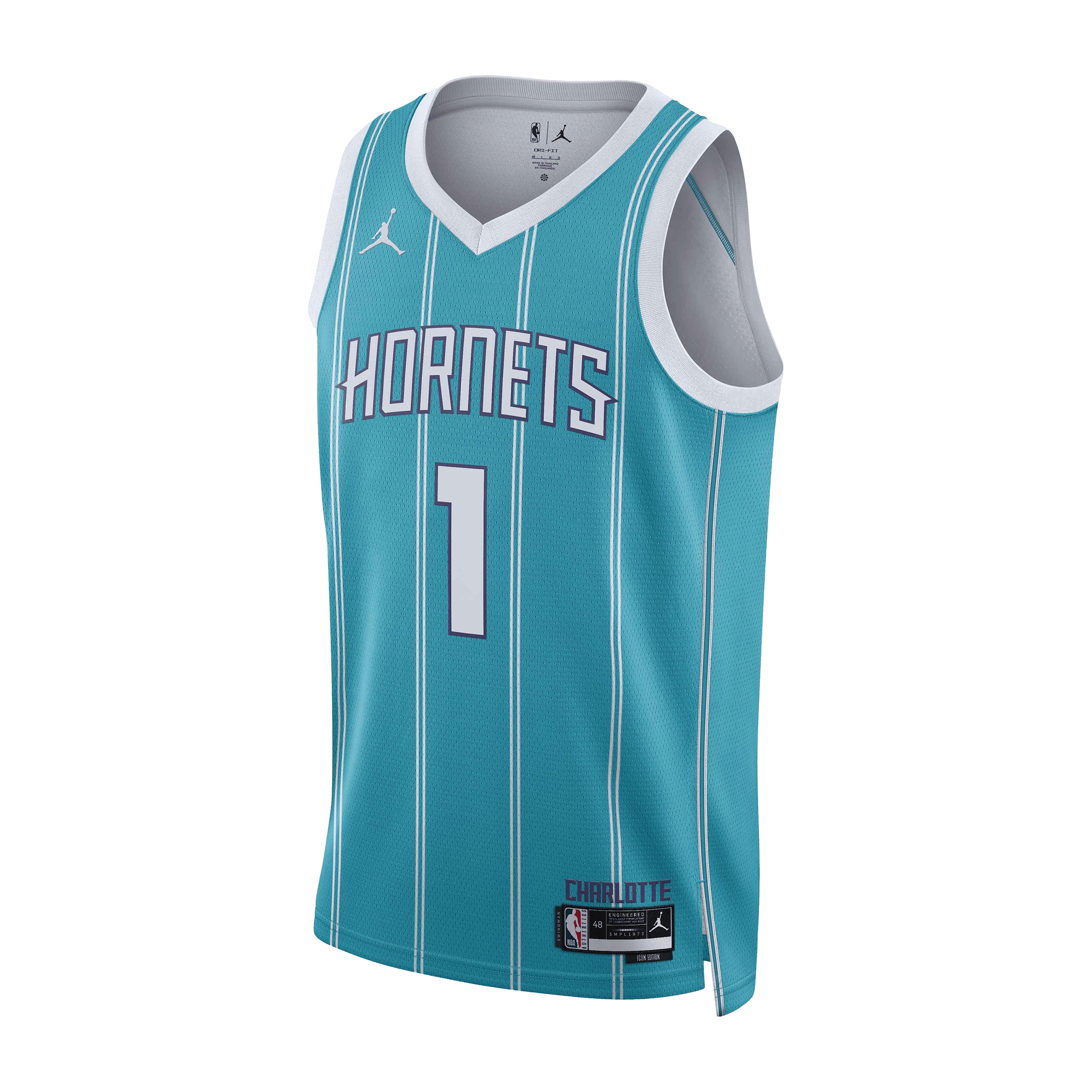 Mens Nike Charlotte Hornets Icon Edition 22 NBA Basketball Jersey