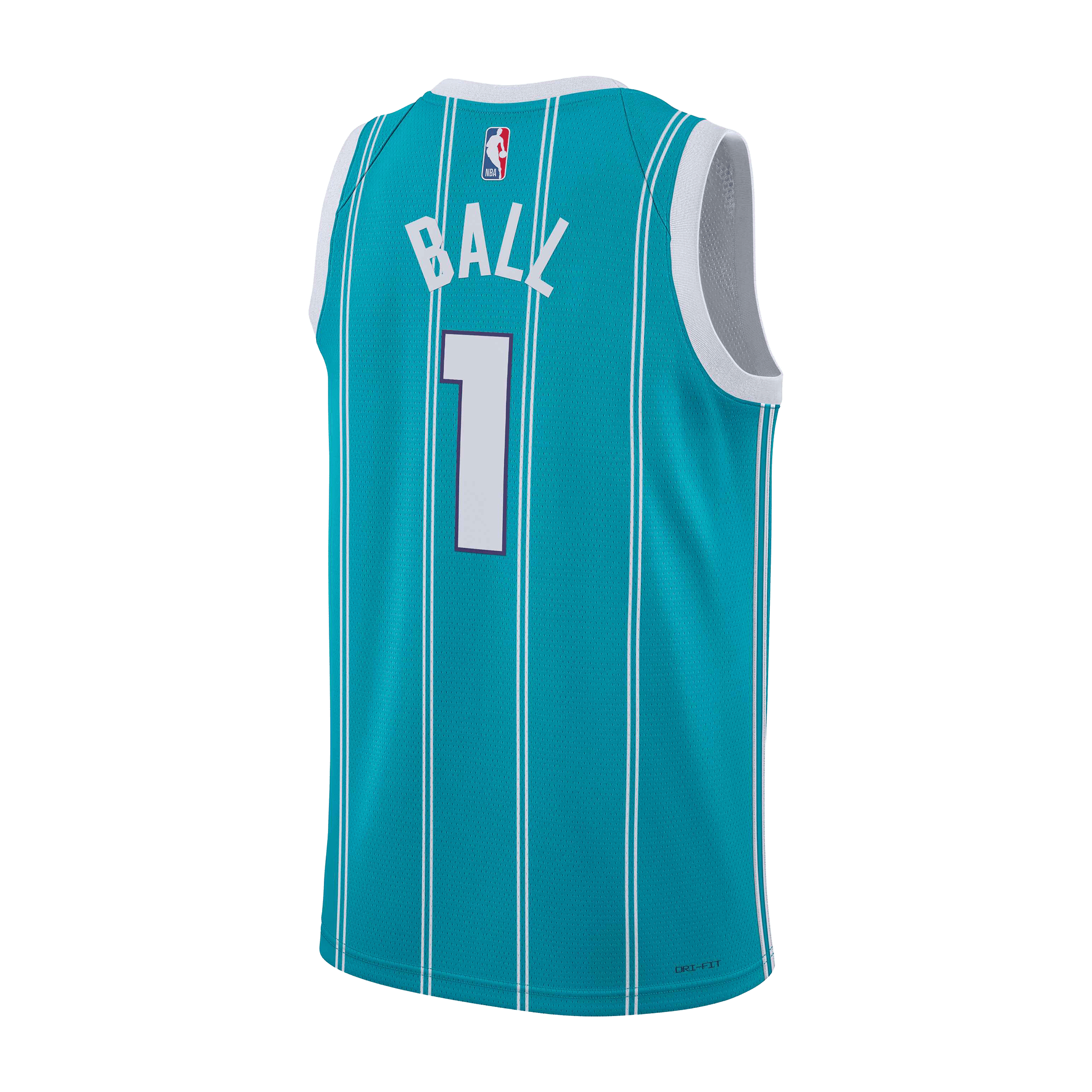 Mens Nike Charlotte Hornets Icon Edition 22 NBA Basketball Jersey