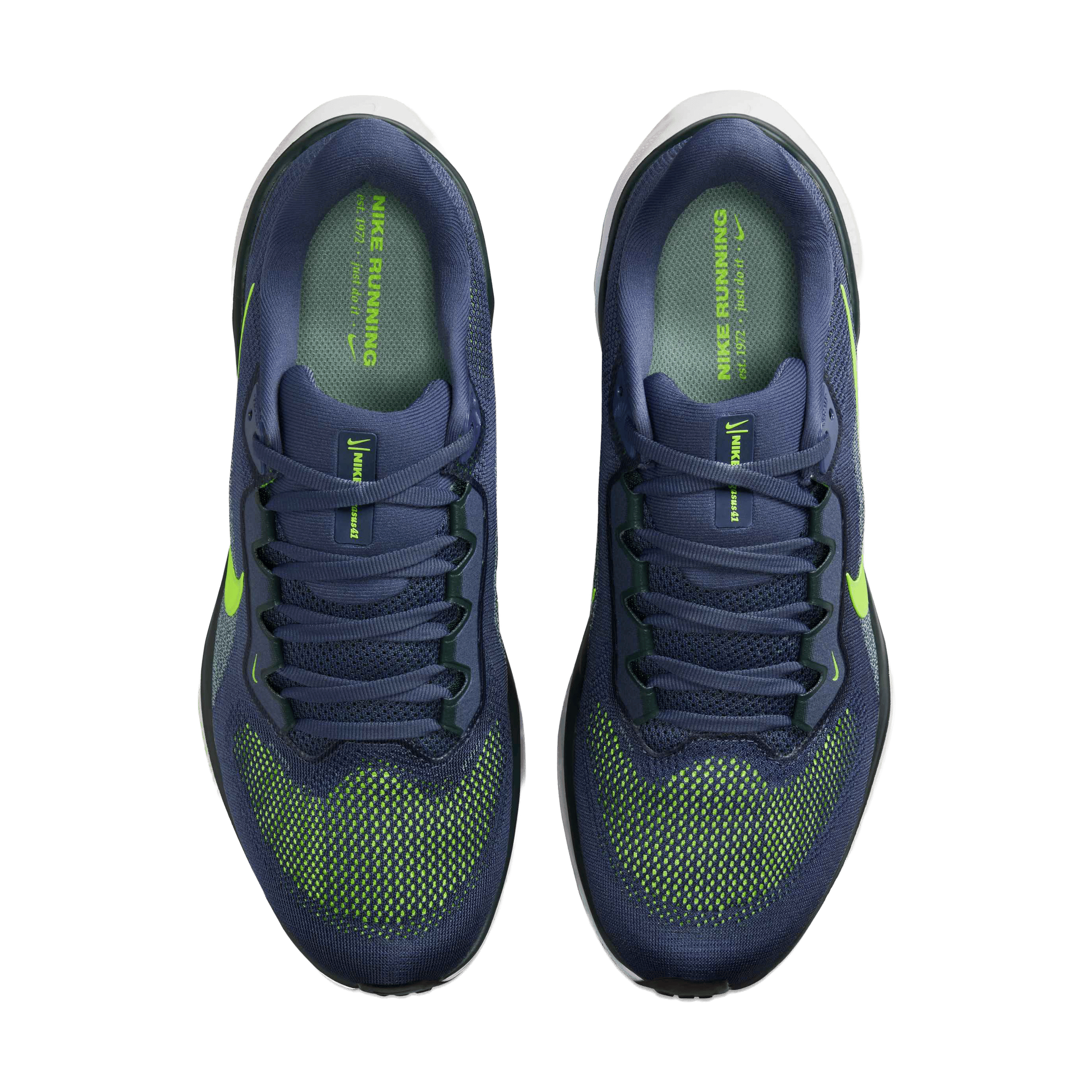 Mens Nike Pegasus 41 Running Shoes
