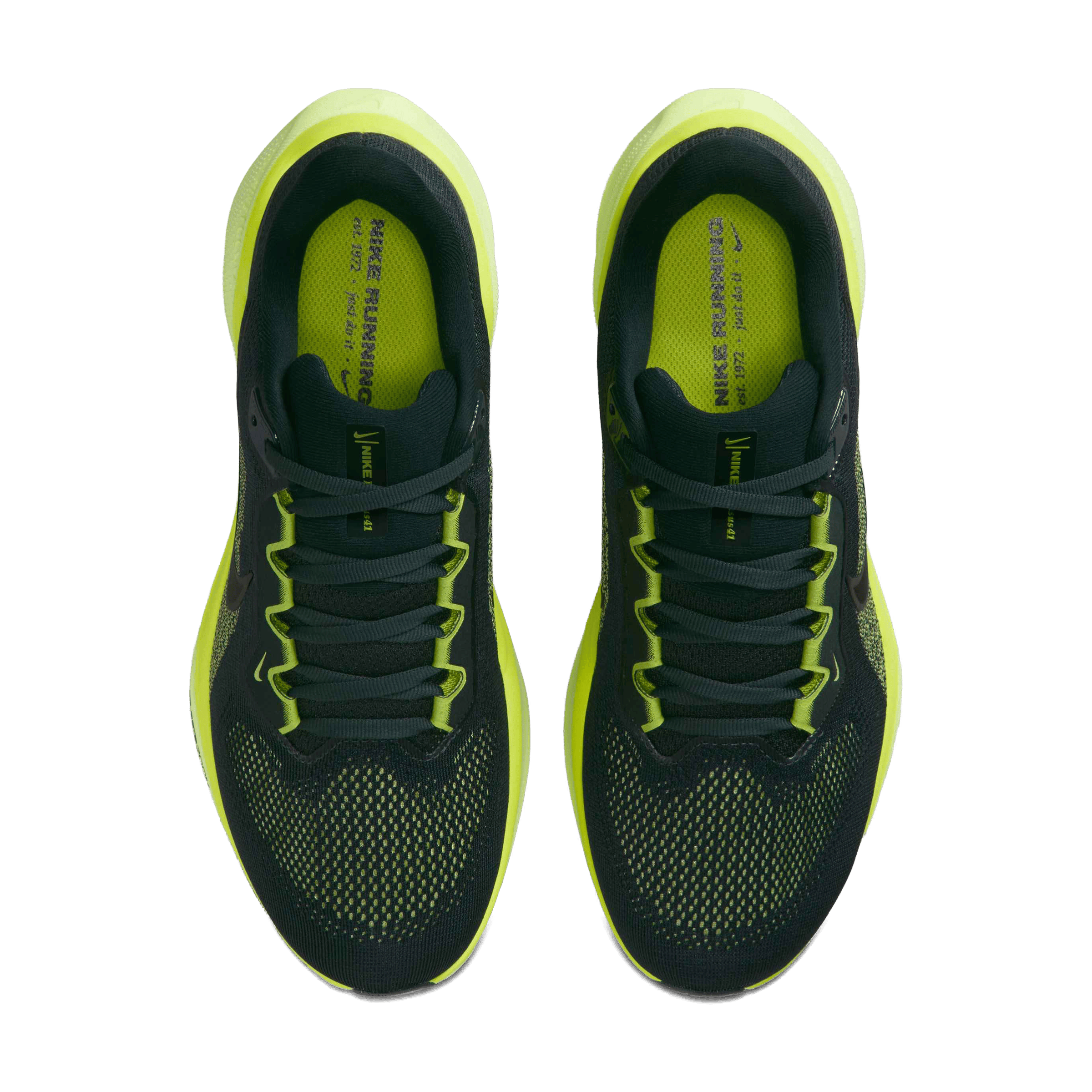 Womens Nike Pegasus 41 Running Shoes