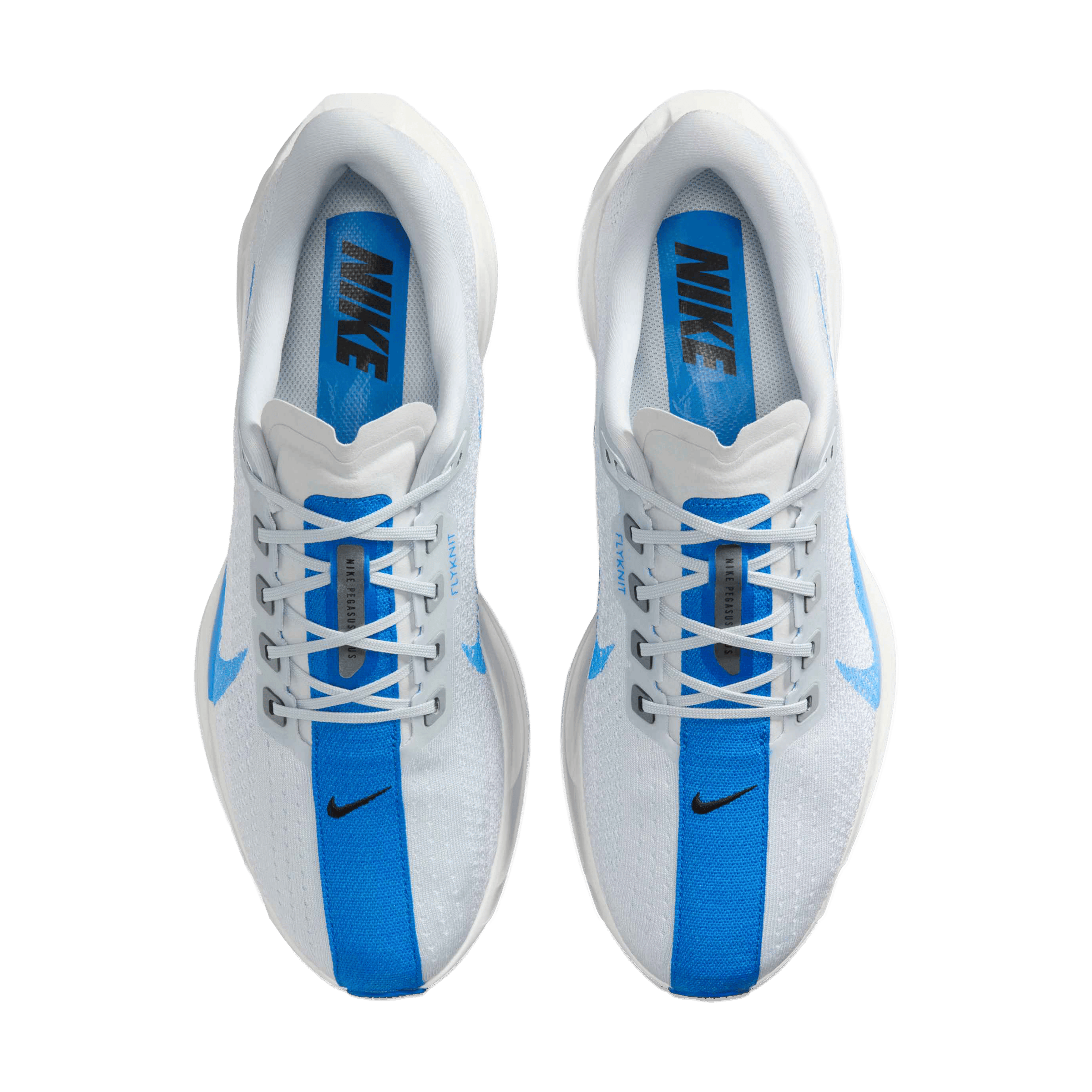 Mens Nike Pegasus Plus Running Shoes