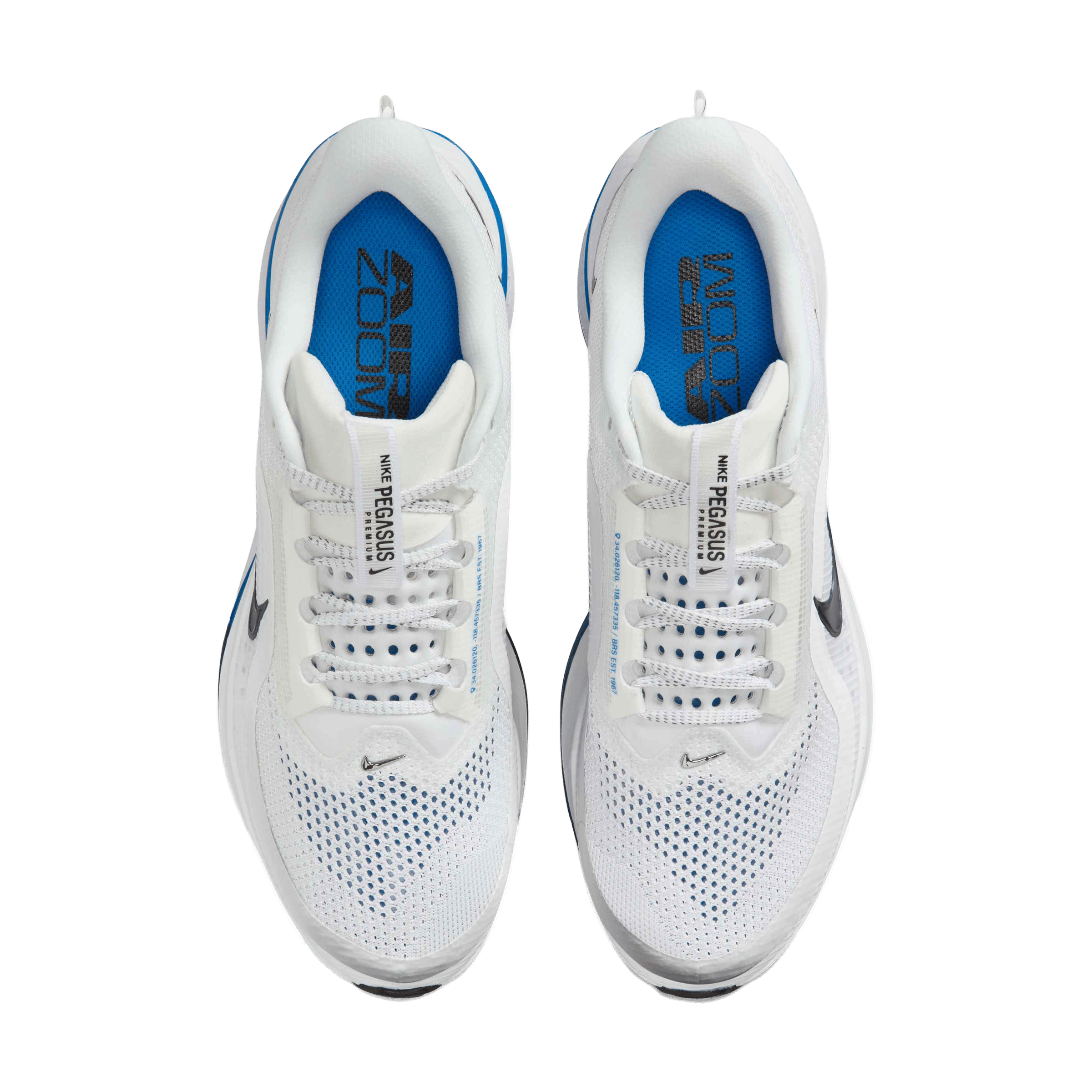 Mens Nike Pegasus Premium Running Shoes