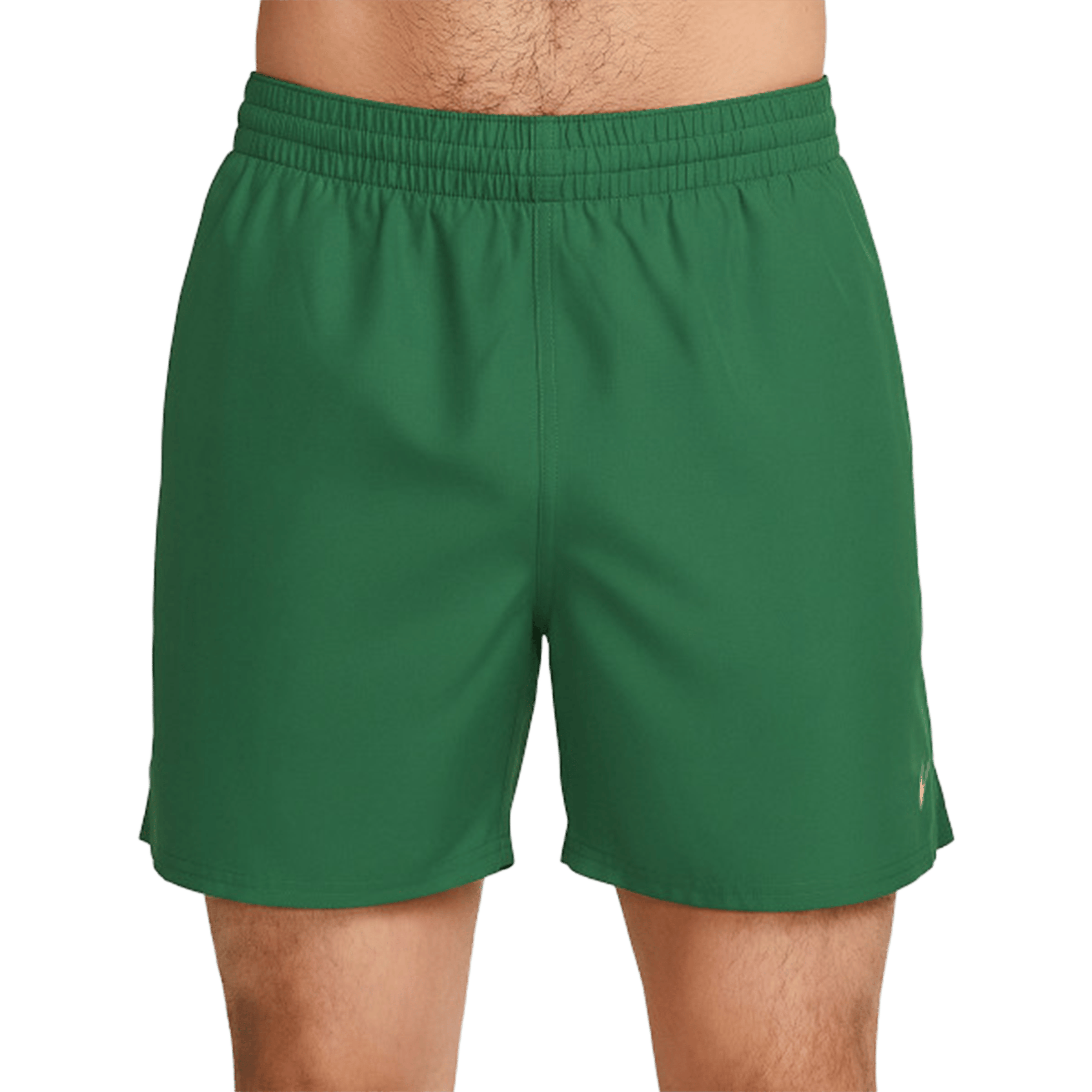 Mens Nike Breaker Essential (5") Brief-Lined Volley Shorts