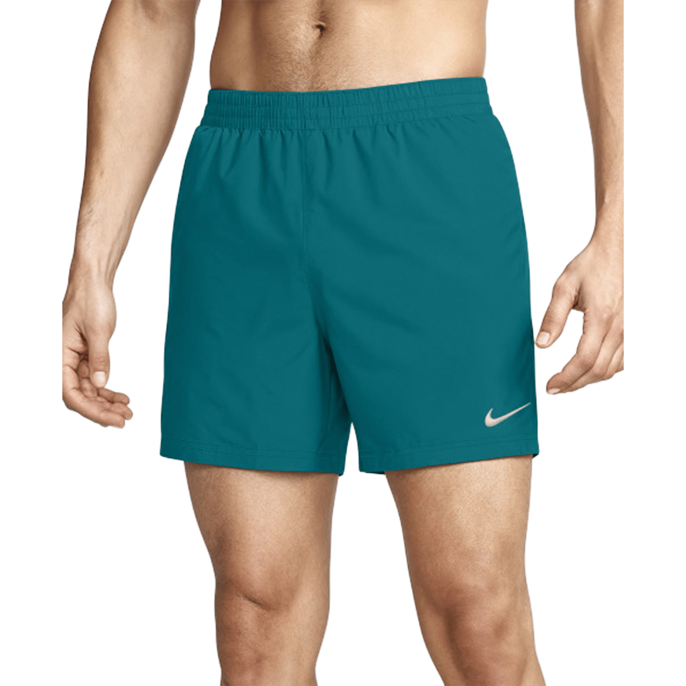 Mens Nike Breaker Essential (5") Brief-Lined Volley Shorts