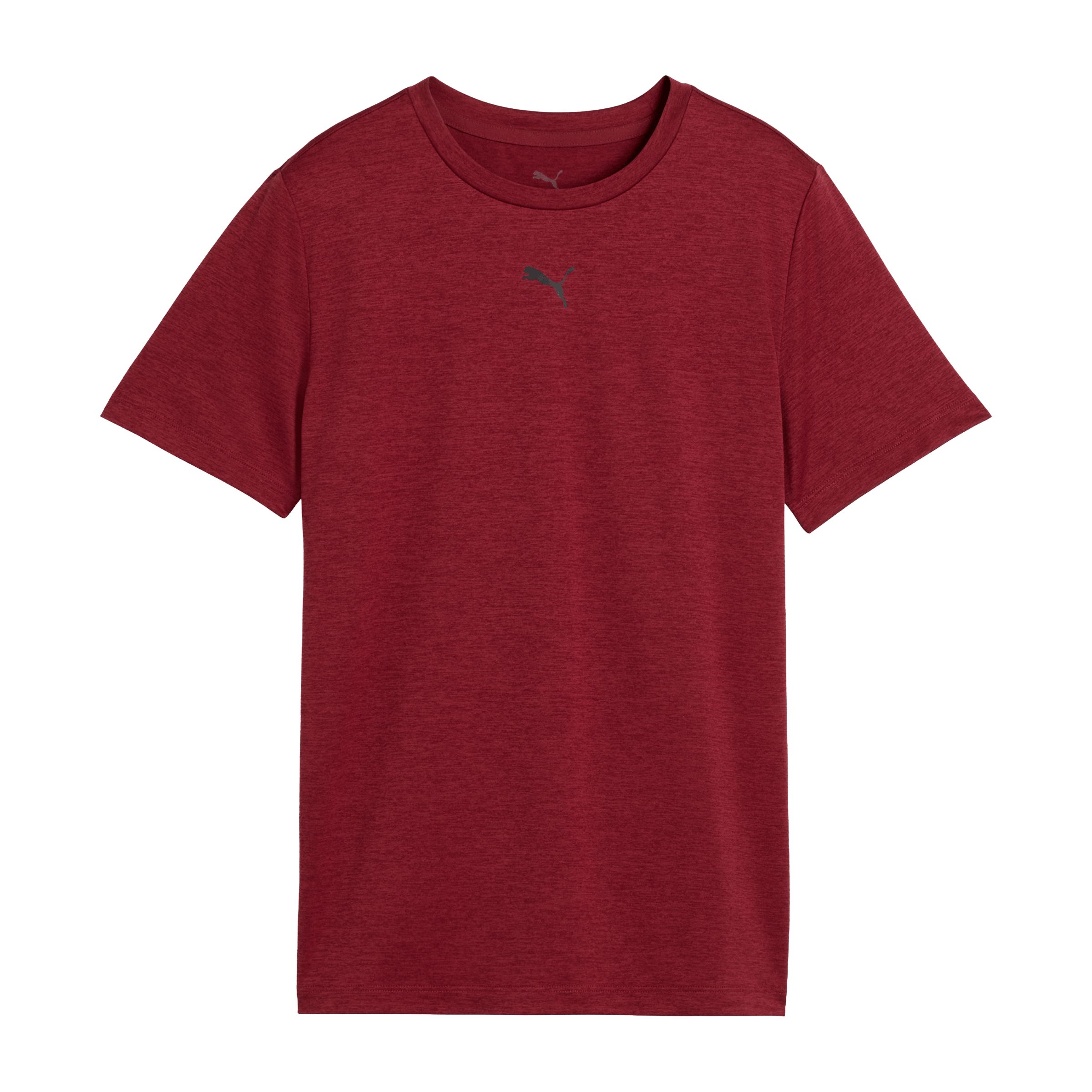 Kids Puma Train All Day Heather Tee
