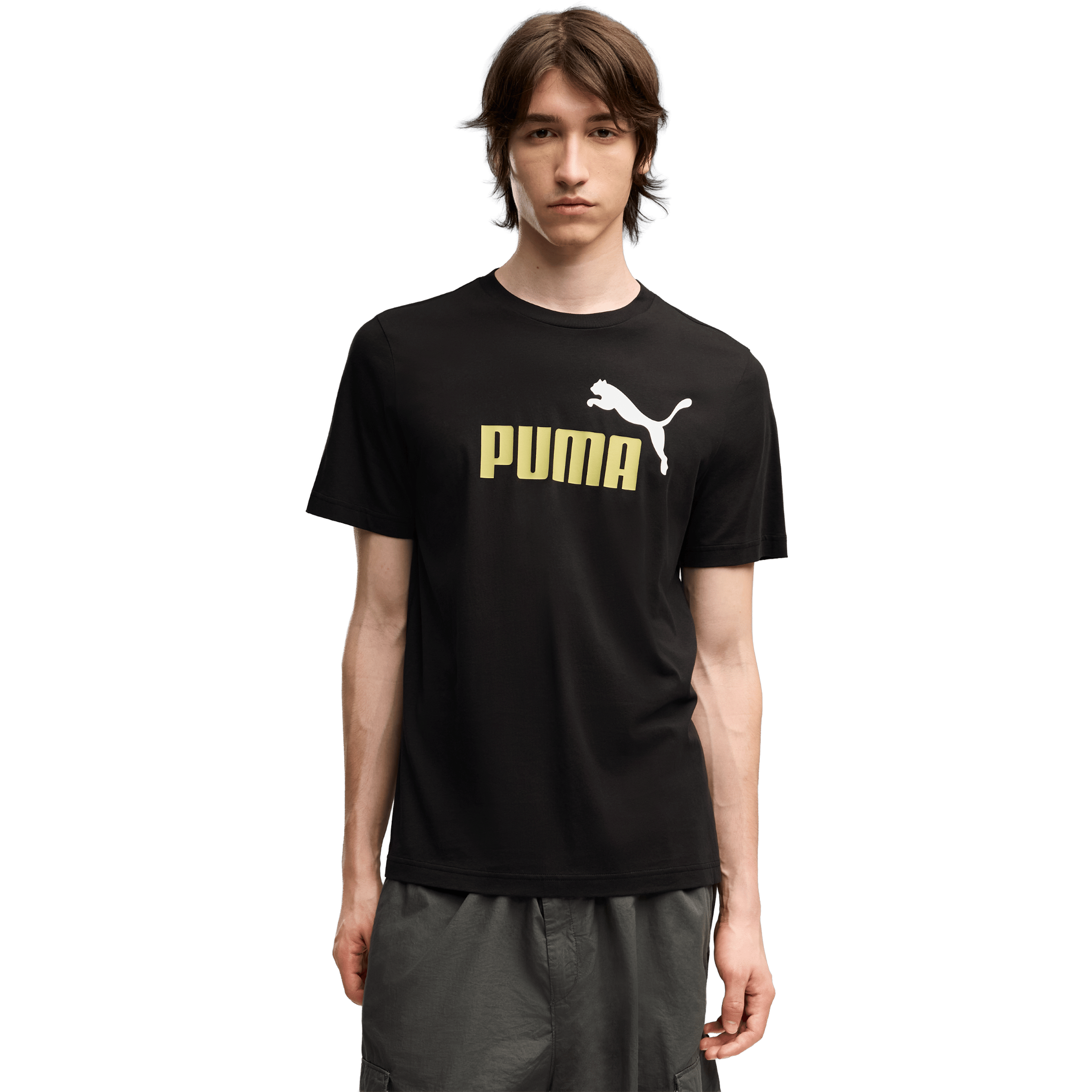 Mens Puma Essentials 2 Colour No. 1 Logo Tee