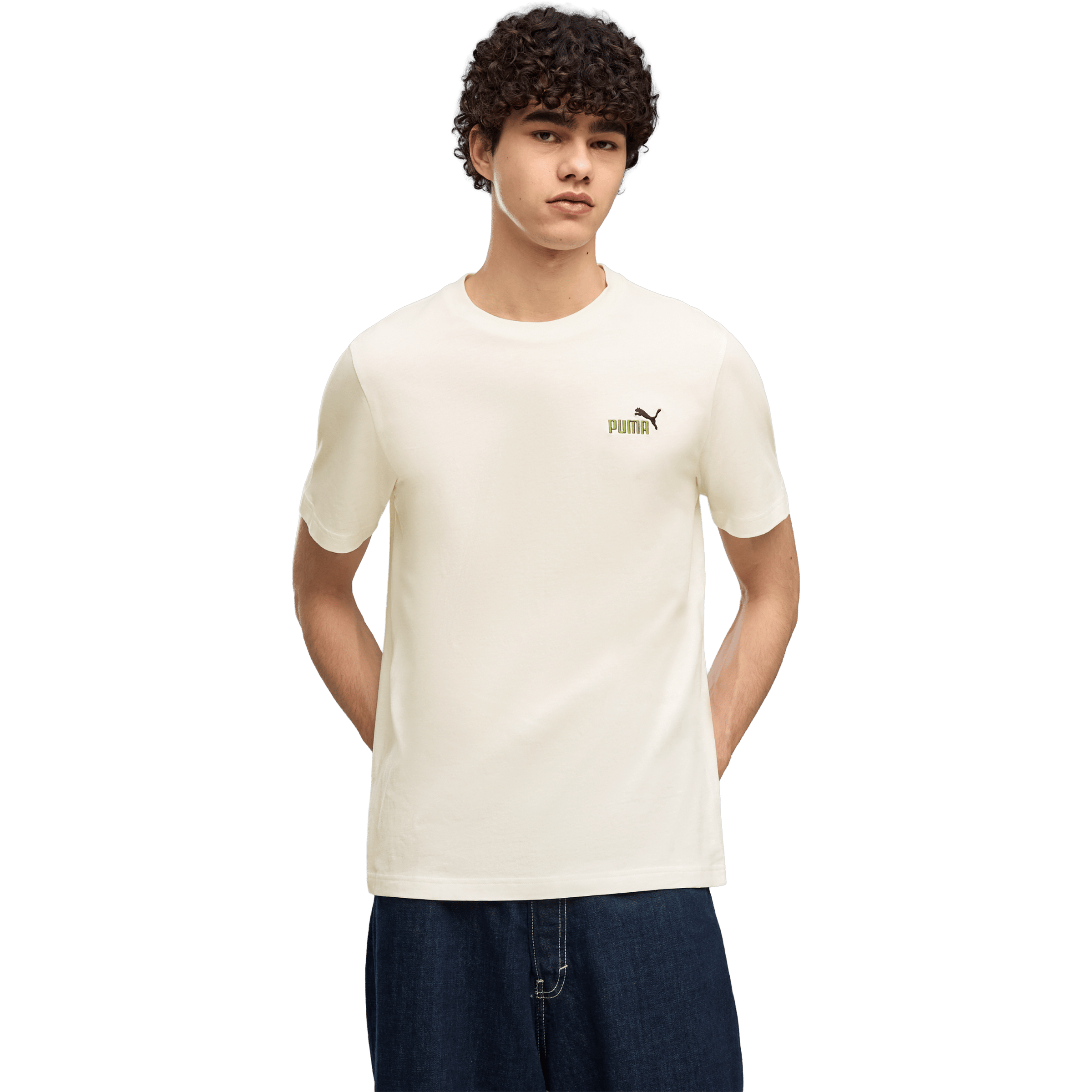 Mens Puma Essentials 2 Colour Small No. 1 Logo Tee