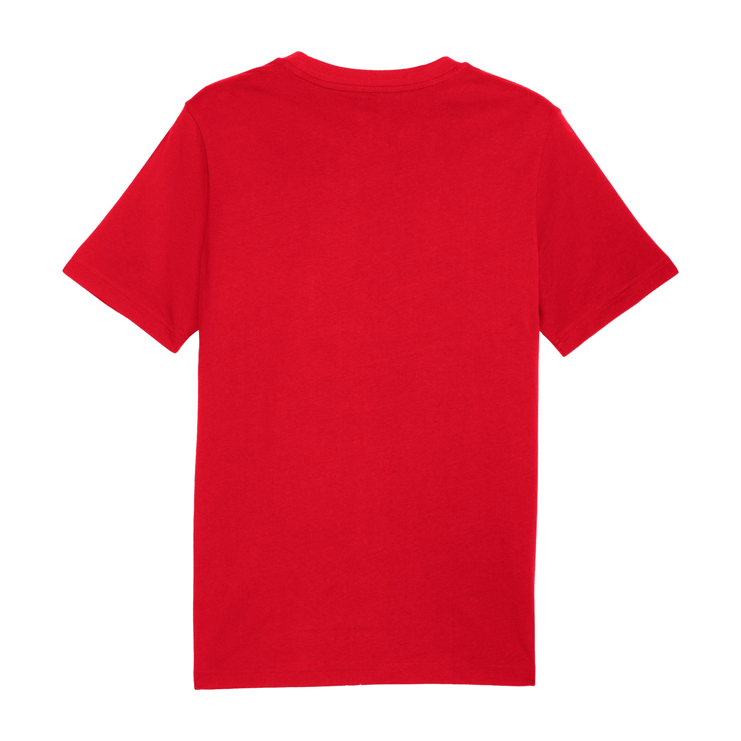 Mens Puma Graphic Wording Tee