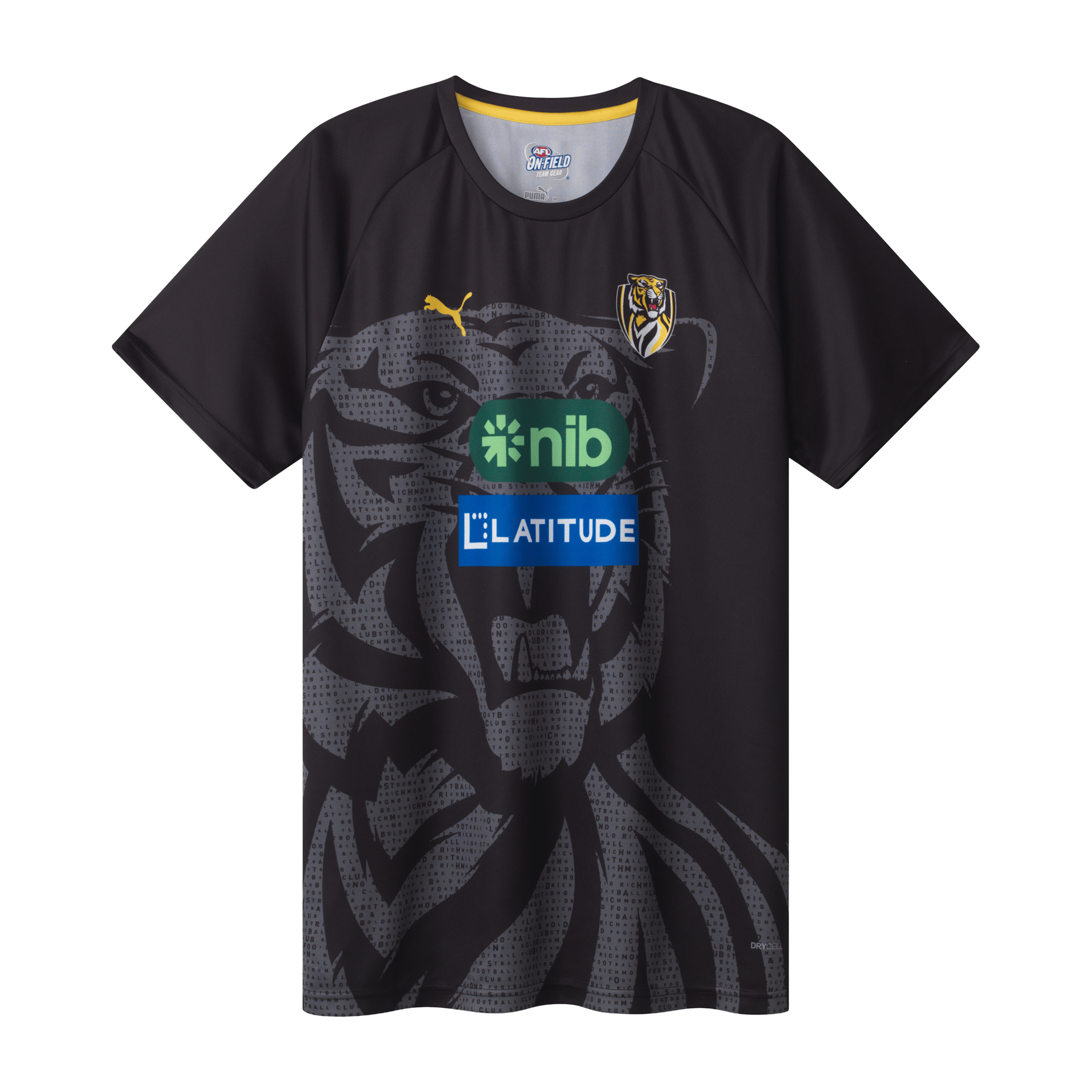 Mens Puma AFL Richmond FC 2025 Authentic Training Tee