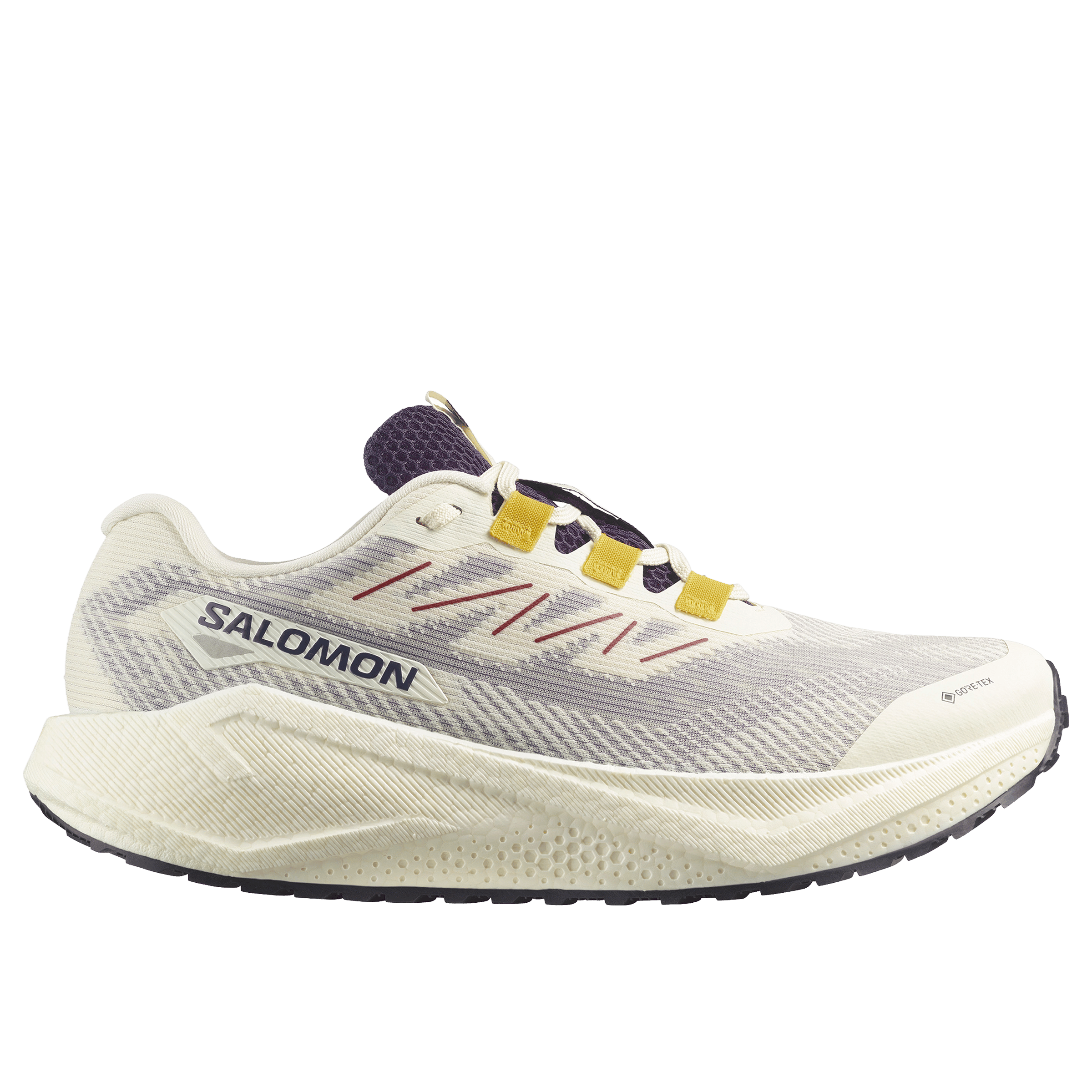 Mens Salomon Aero Blaze 3 Gravel (GTX-Waterproof) Running Shoes