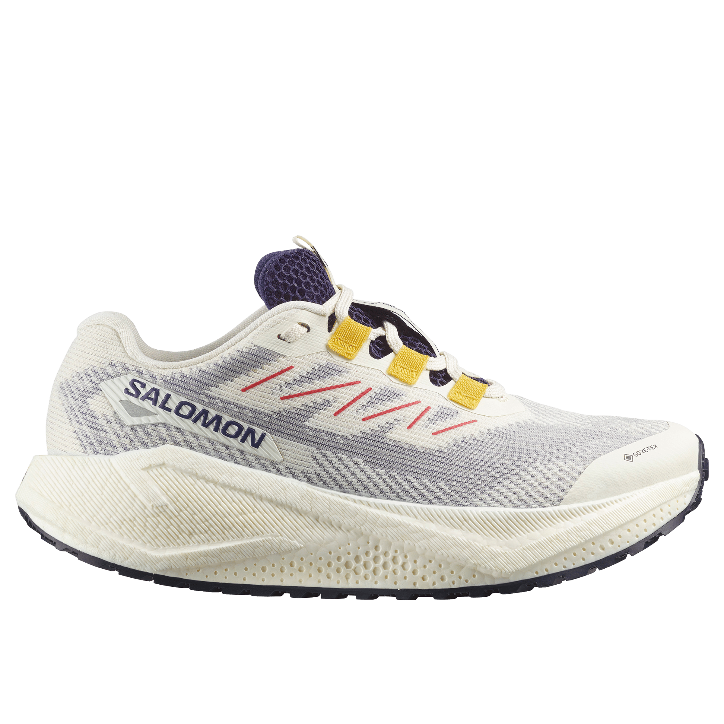 Womens Salomon Aero Blaze 3 Gravel (GTX-Waterproof) Running Shoes