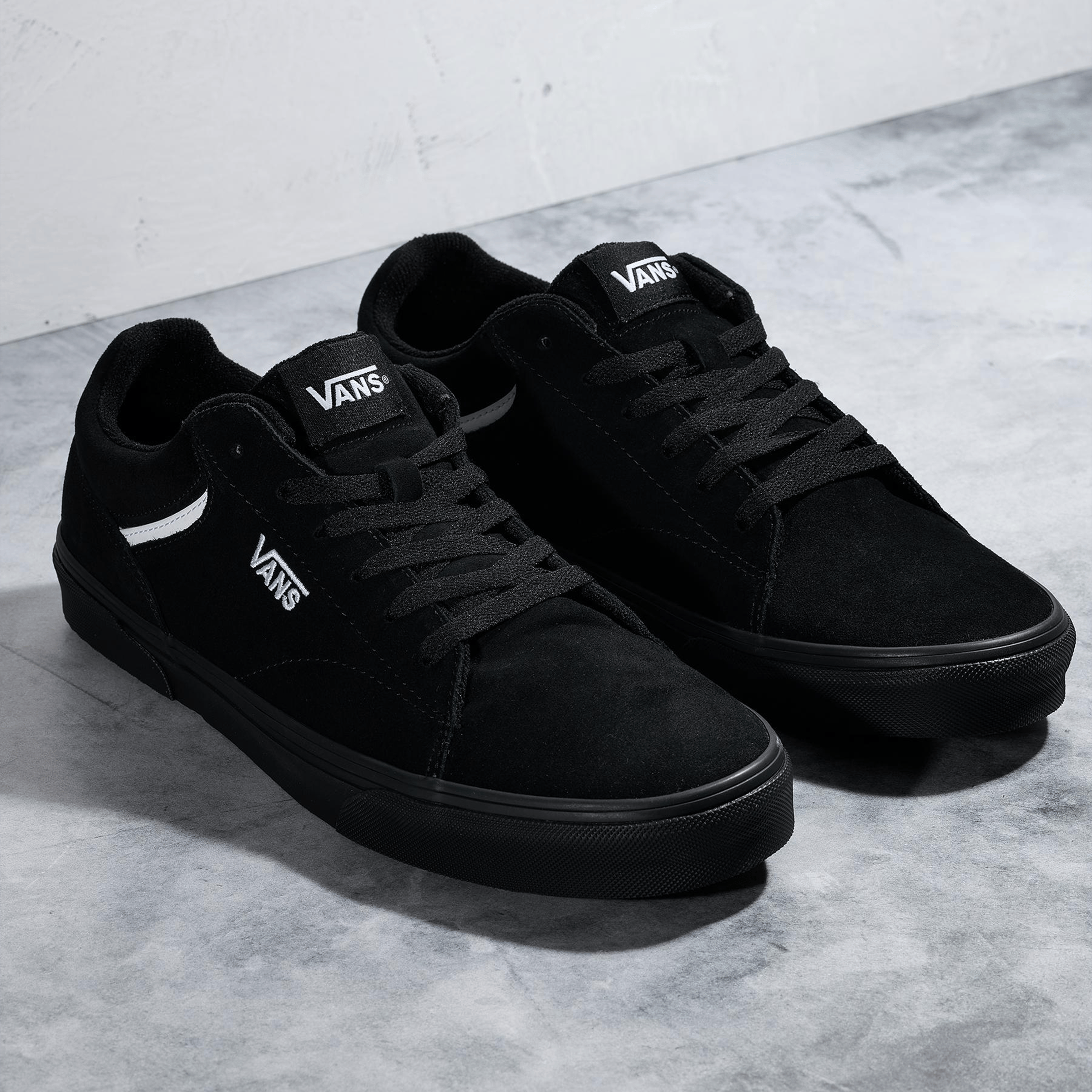 Mens Vans Seldan Shoes