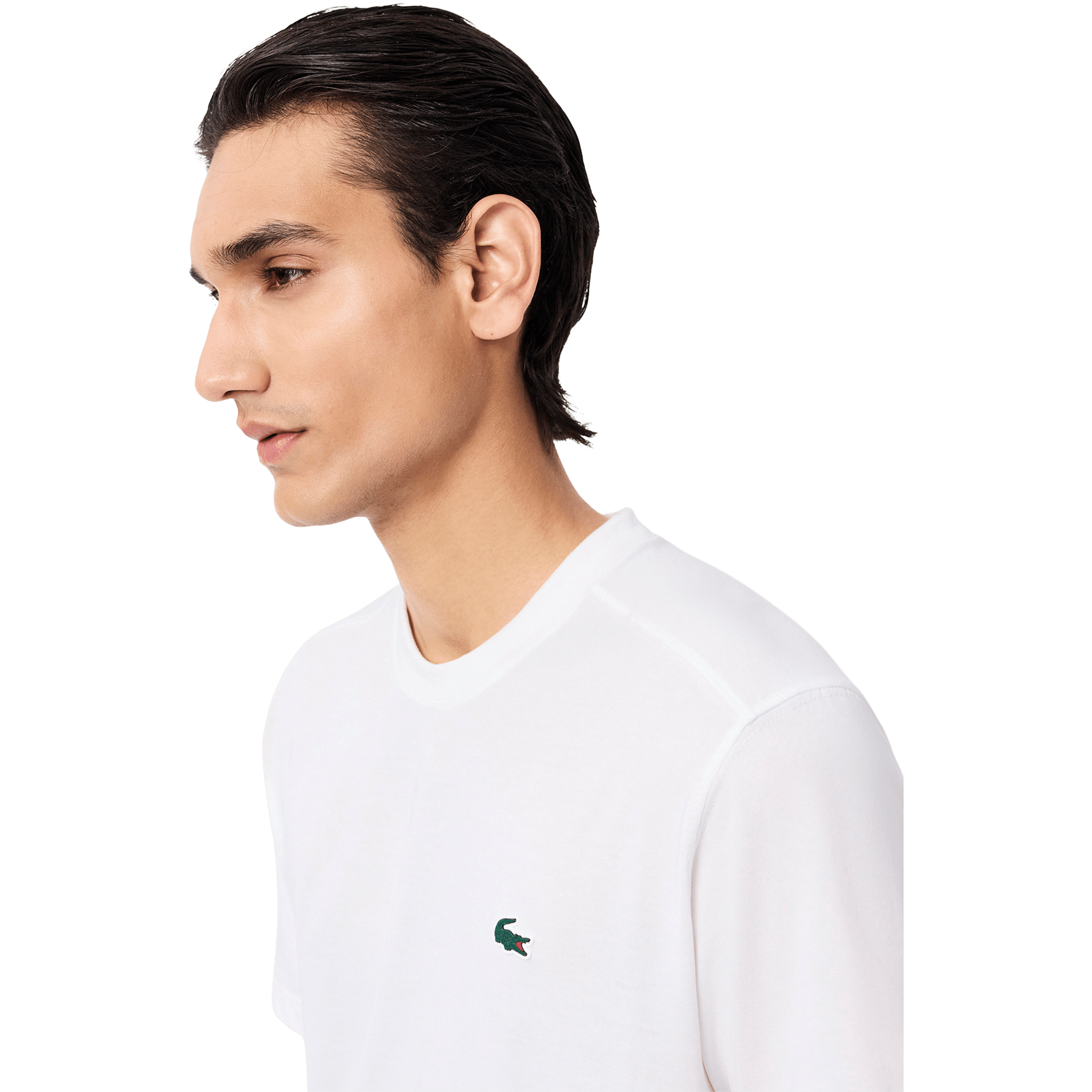 Mens Lacoste Basic Sport T-shirt