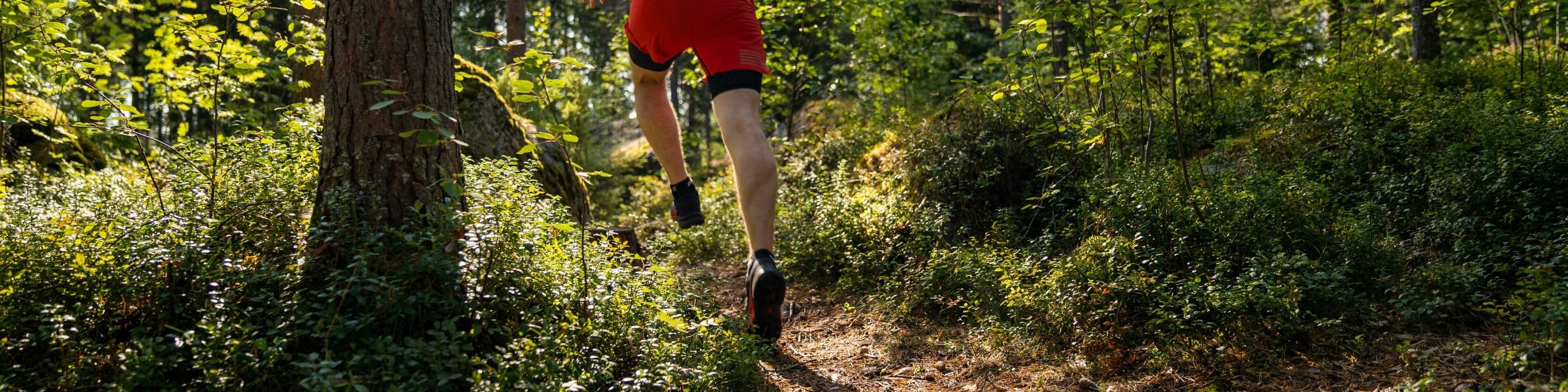 What You Need To Wear Trail Running
